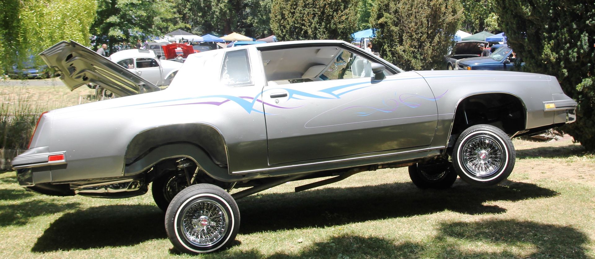 Full View