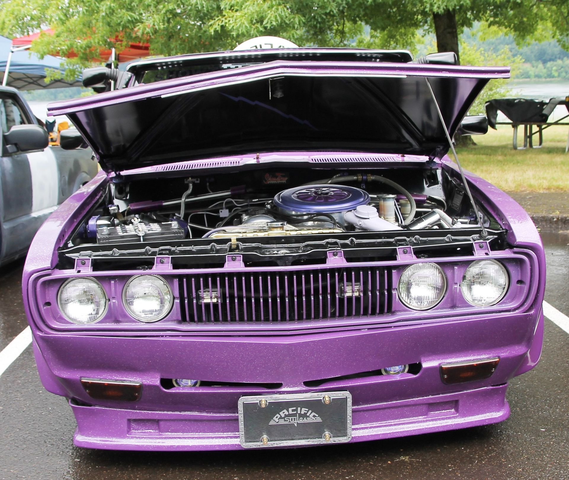 Full View