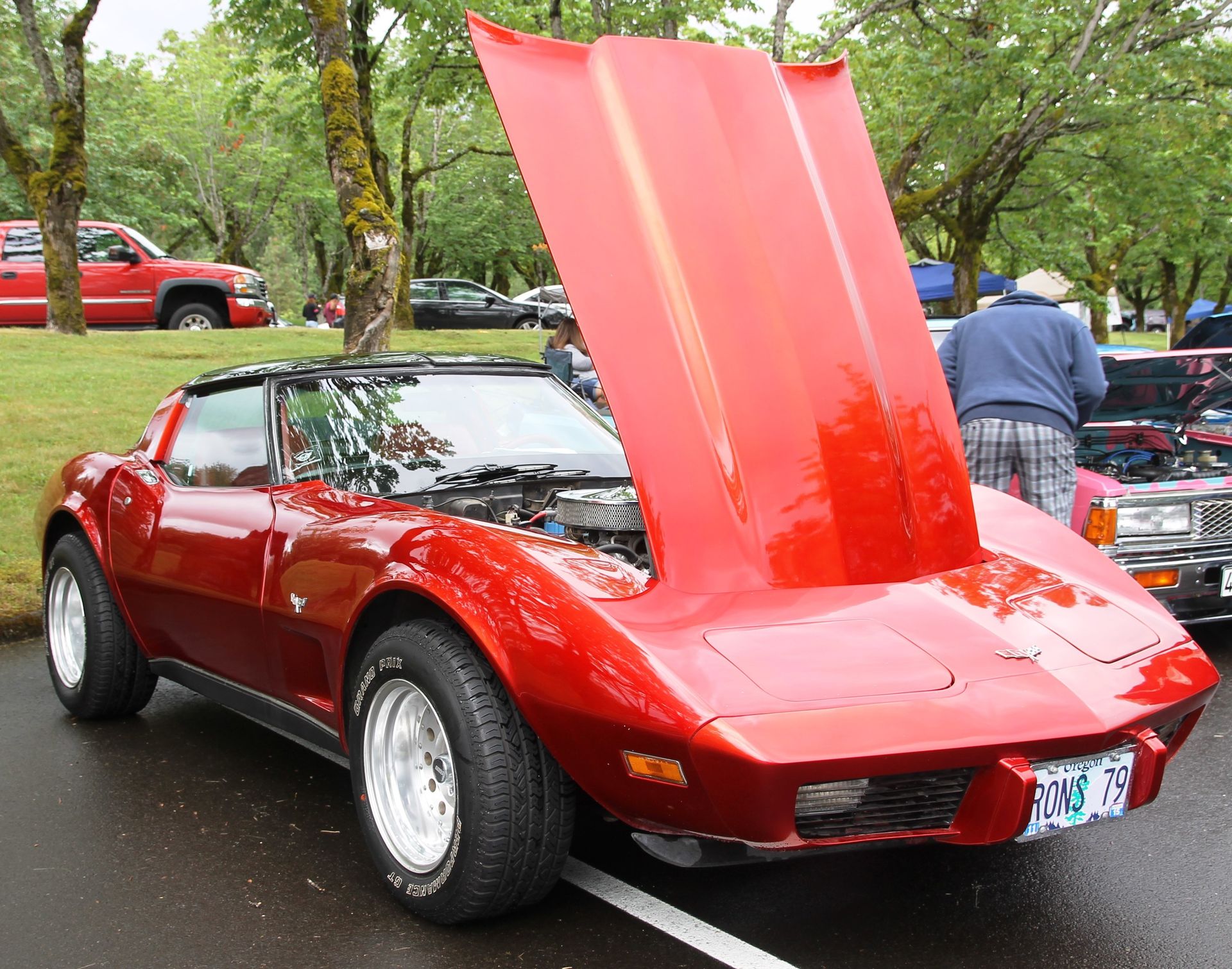 Full View