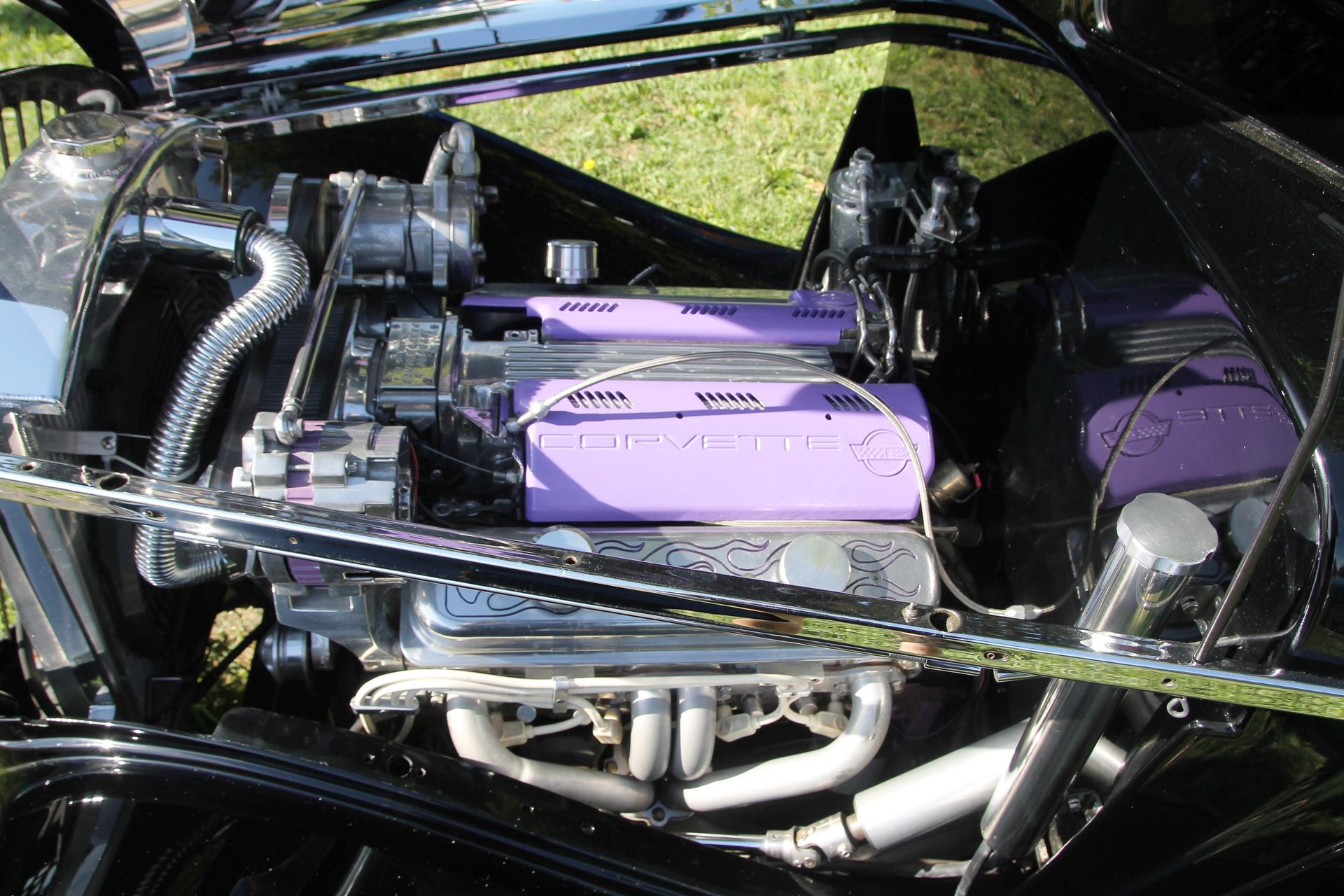Full View