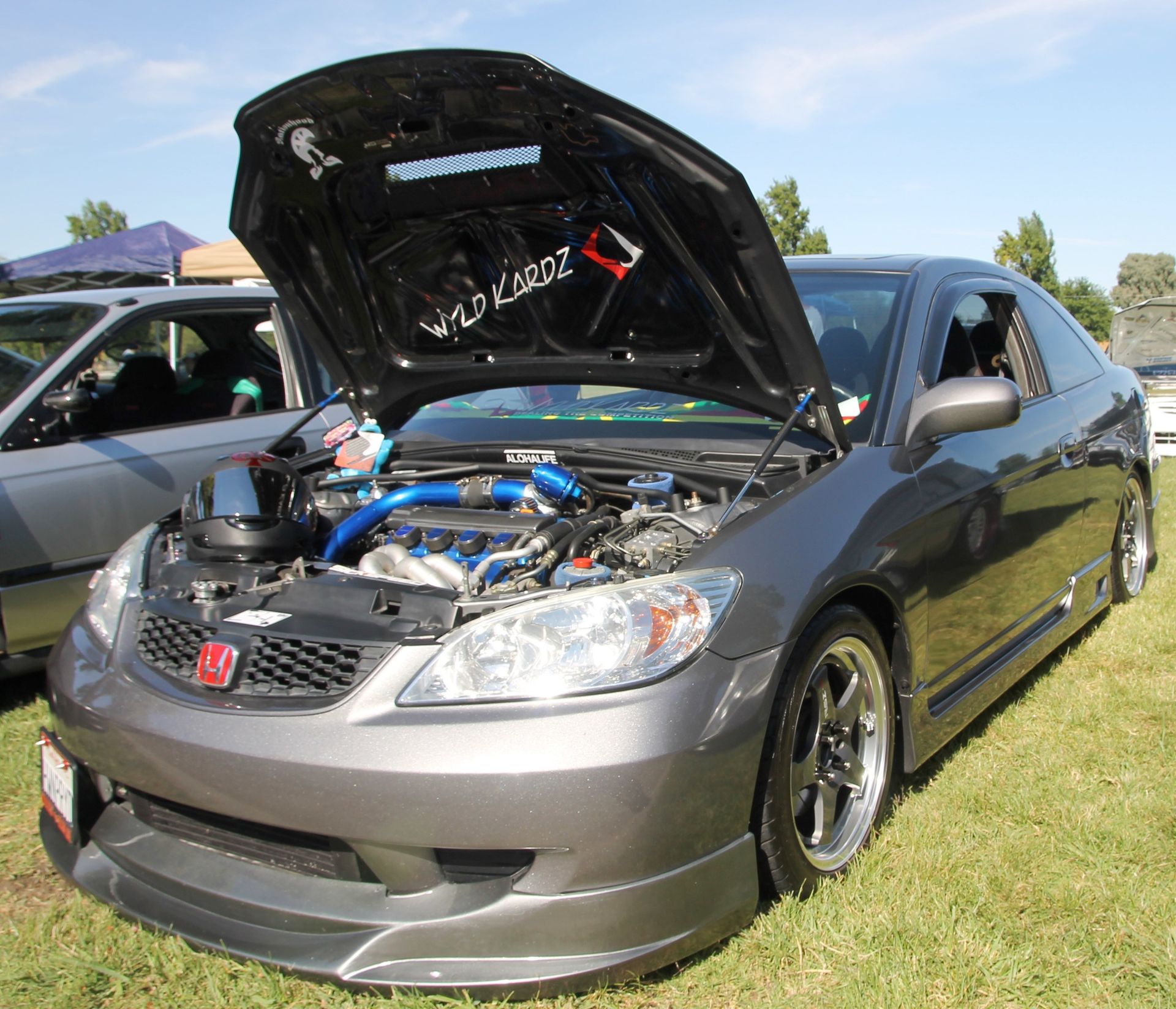Full View
