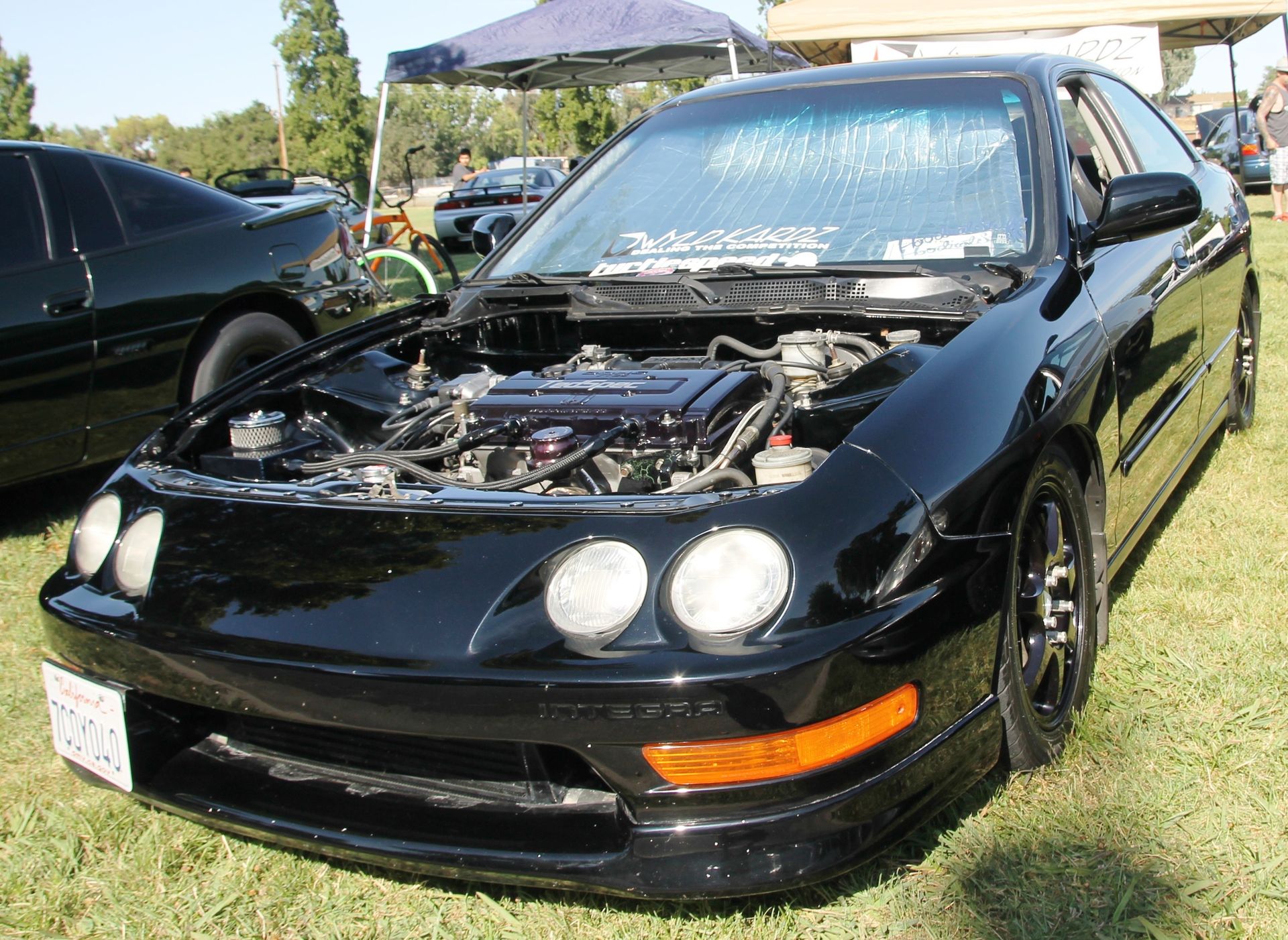 Full View