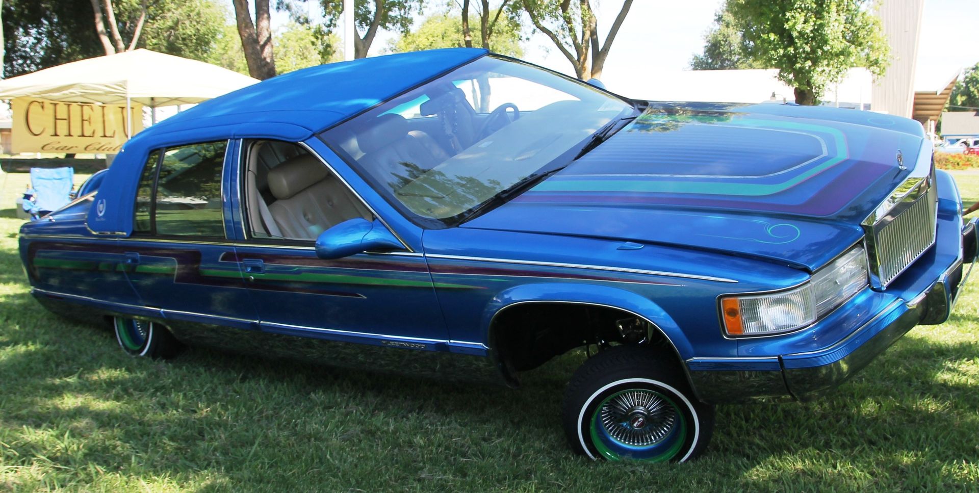 Full View