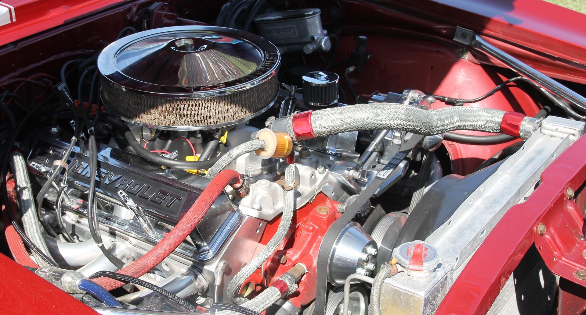 Full View
