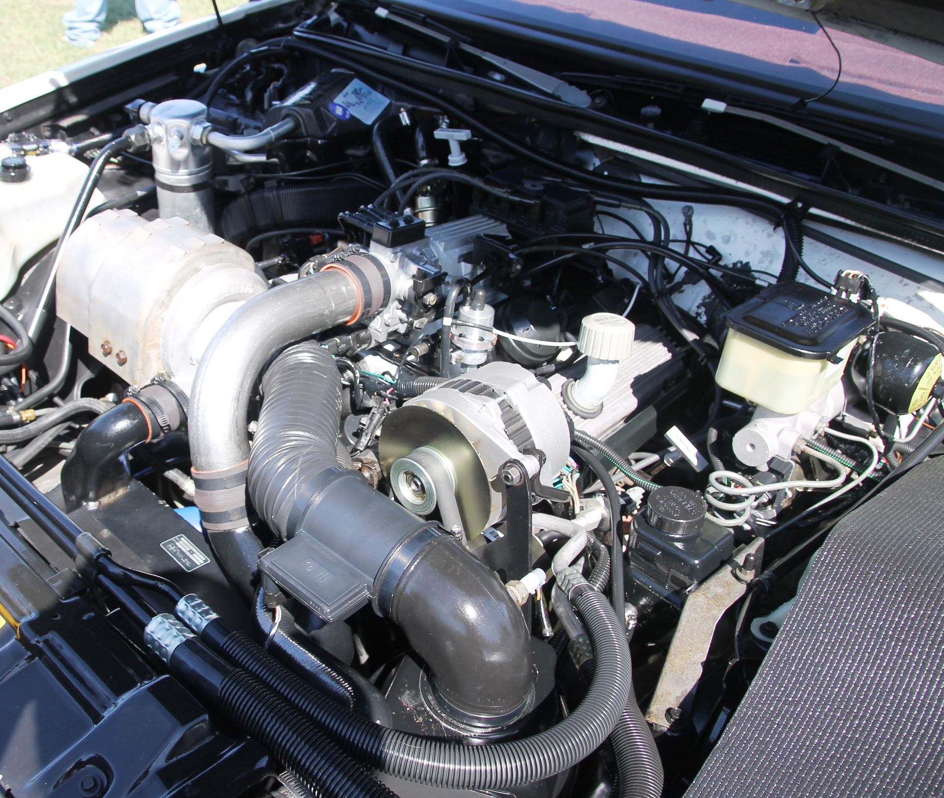 Full View