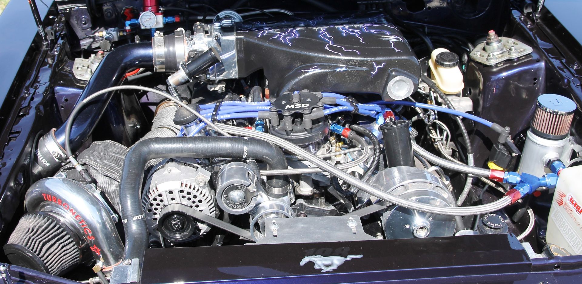 Full View