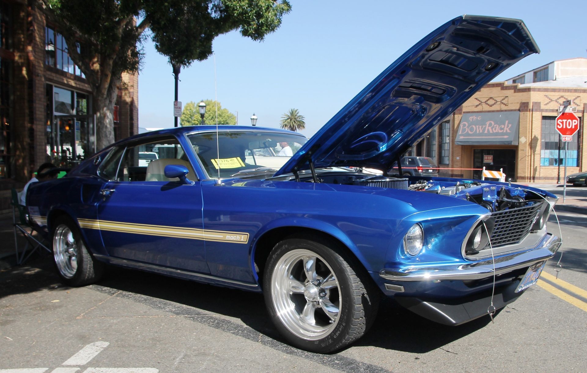 Full View