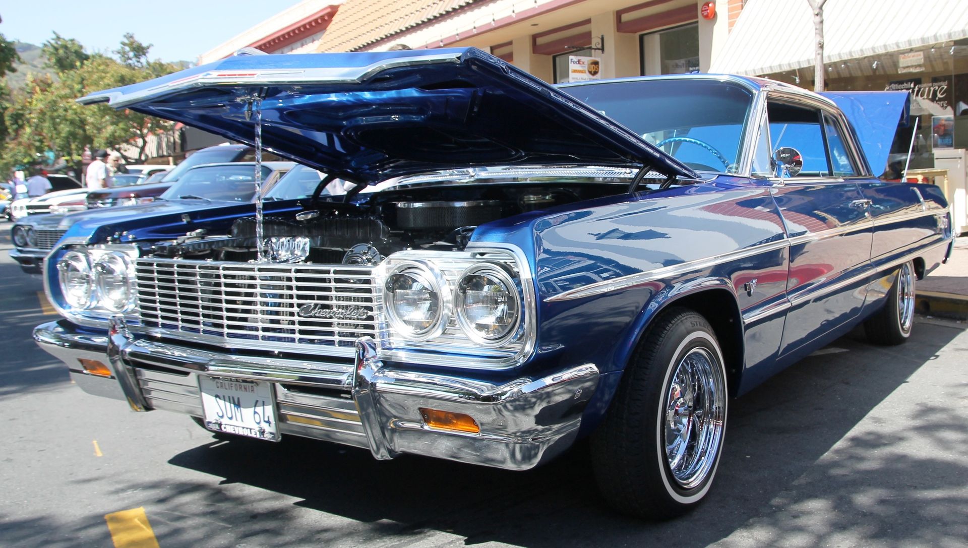Full View