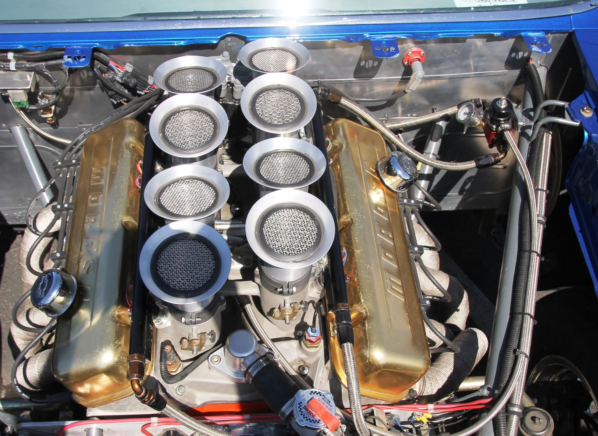 Full View