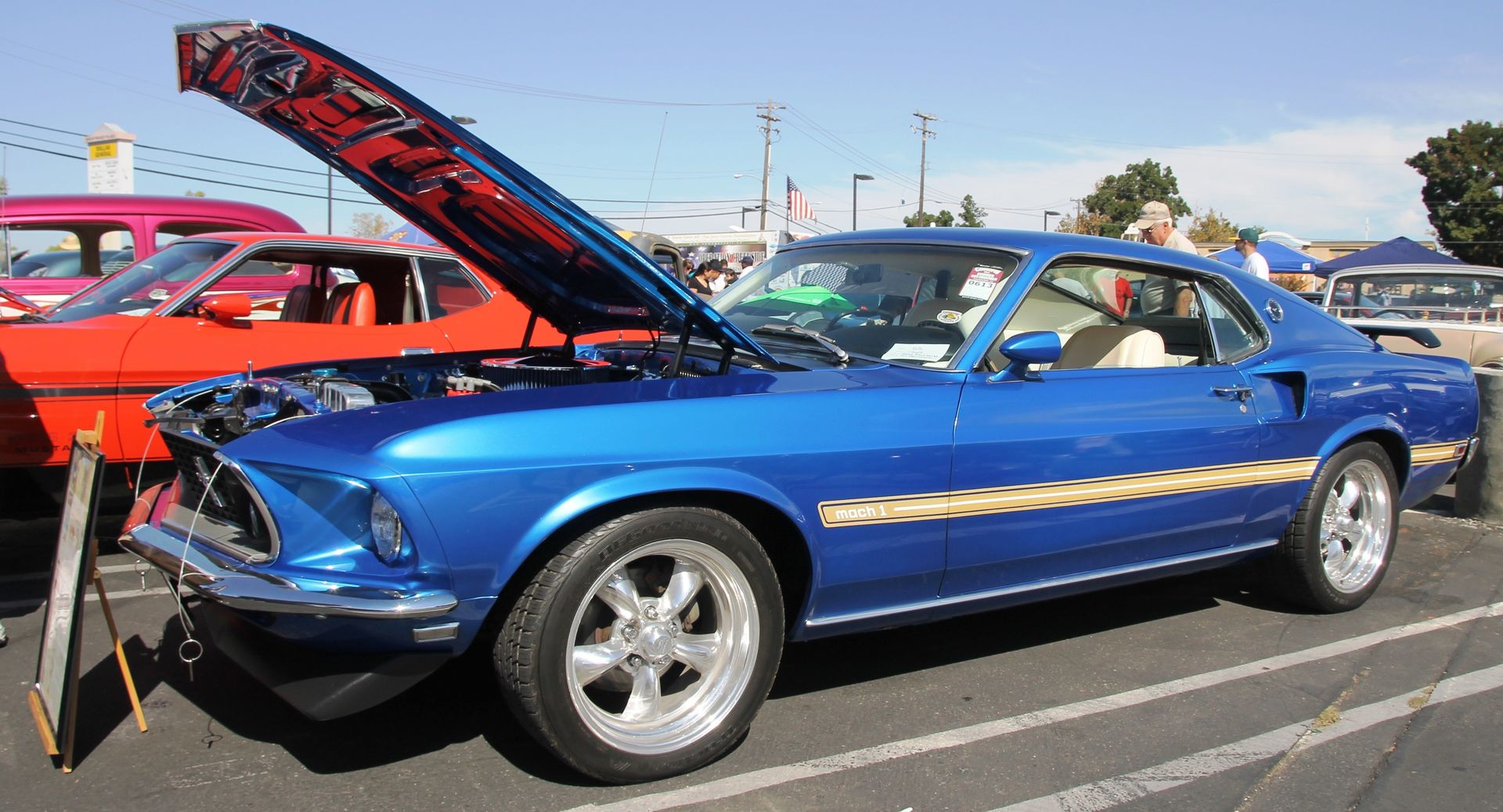 Full View