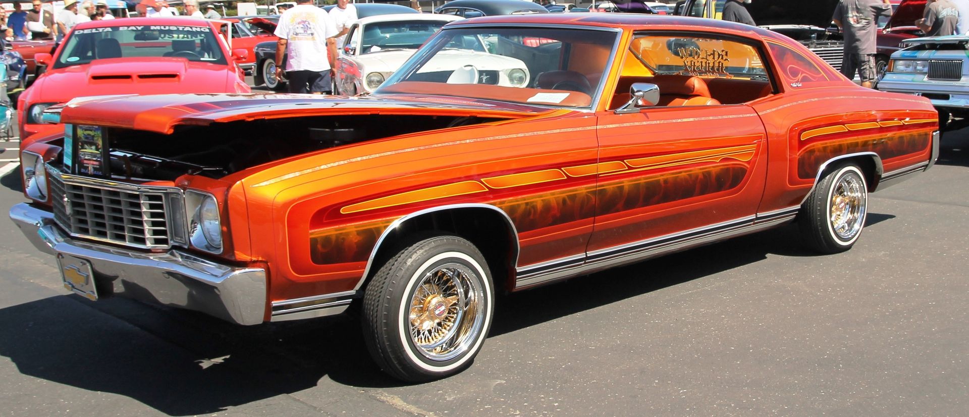 Full View