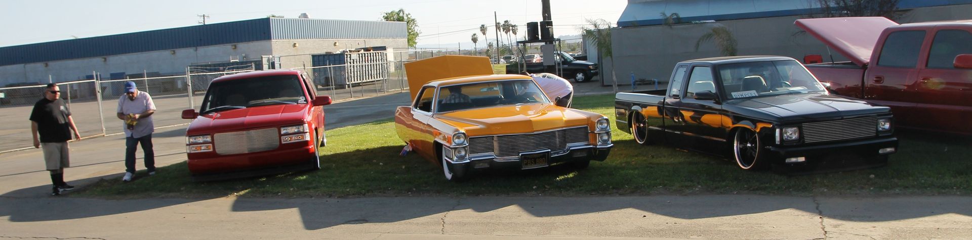 Full View