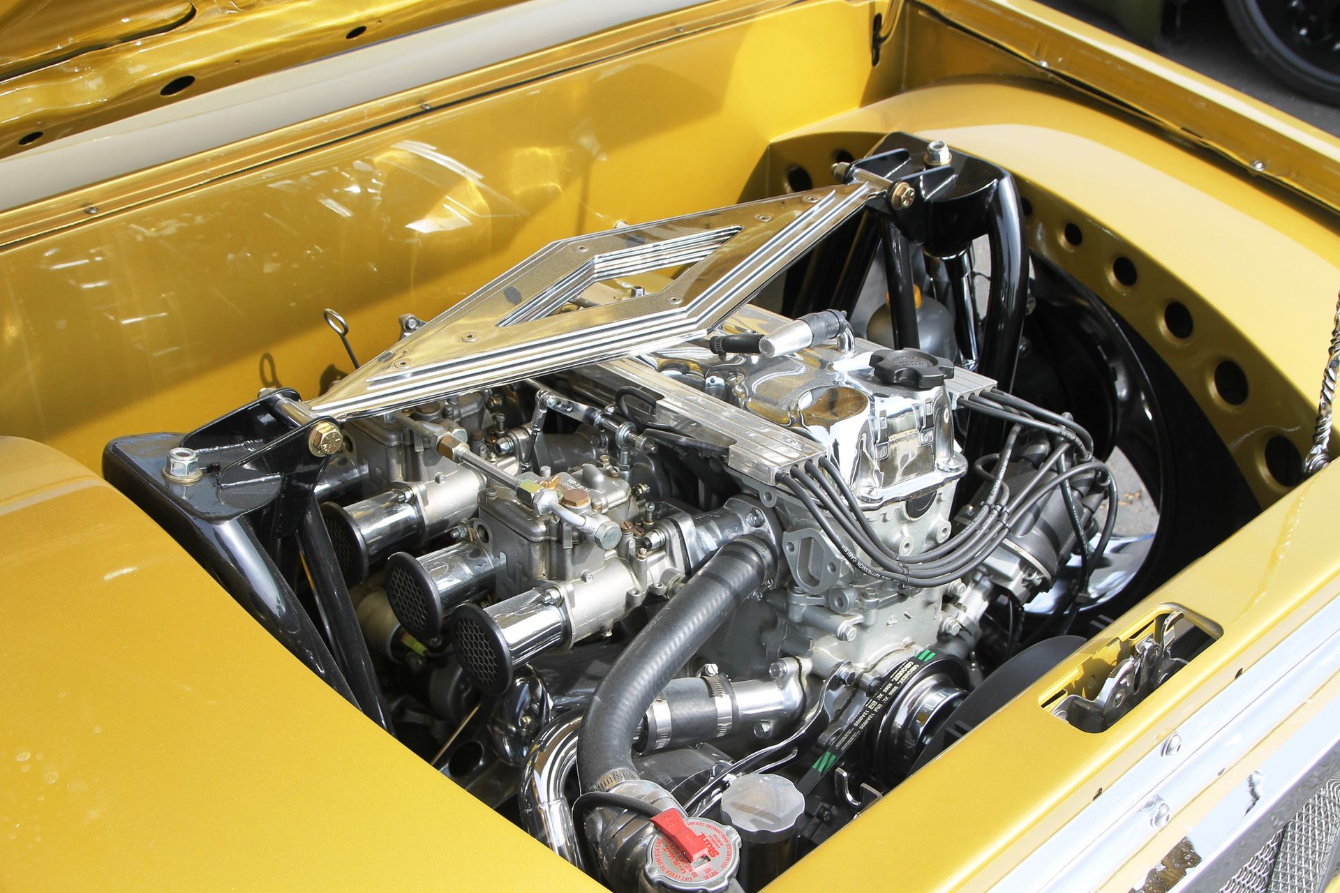 Full View