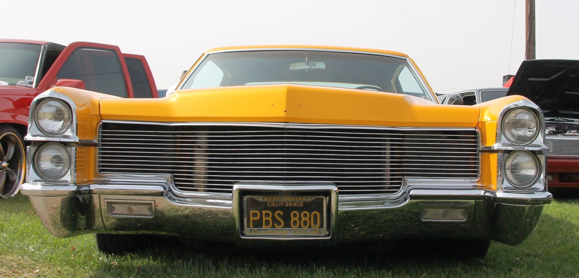 Full View
