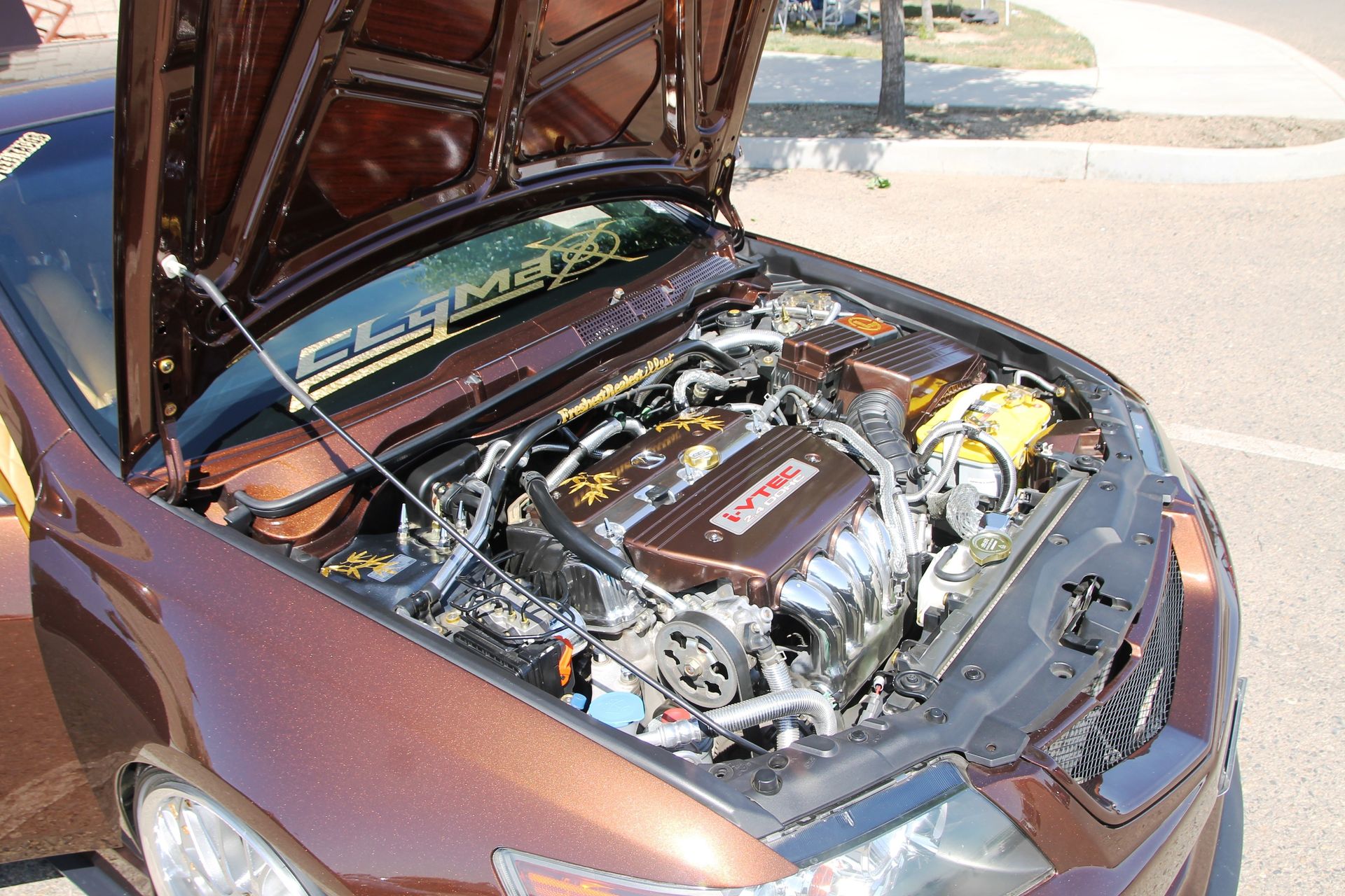 Full View
