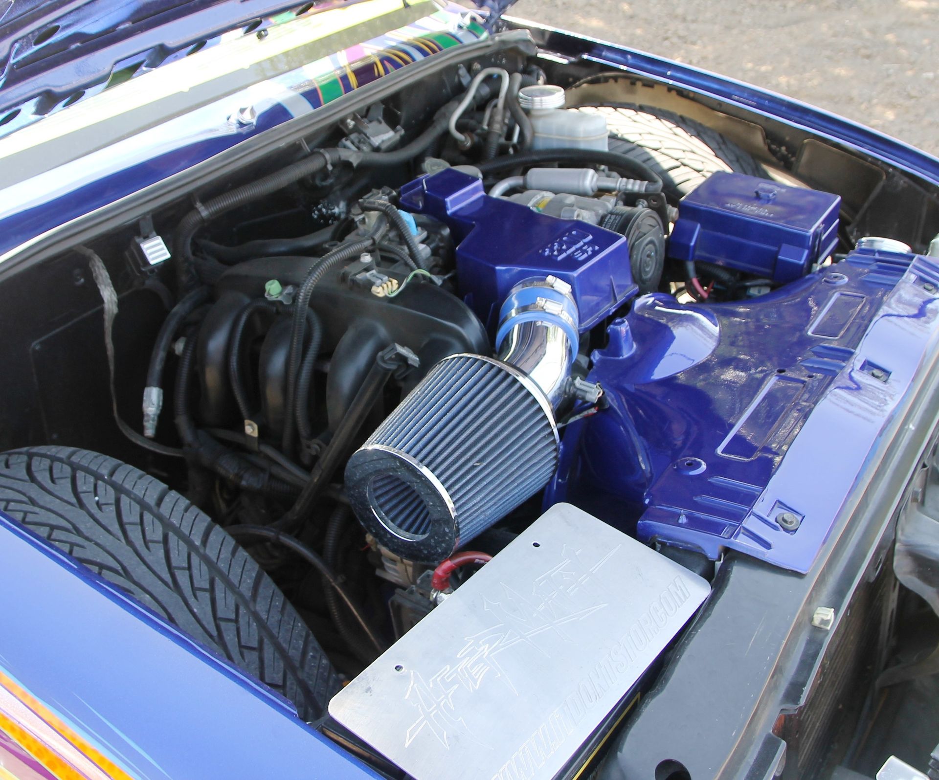 Full View