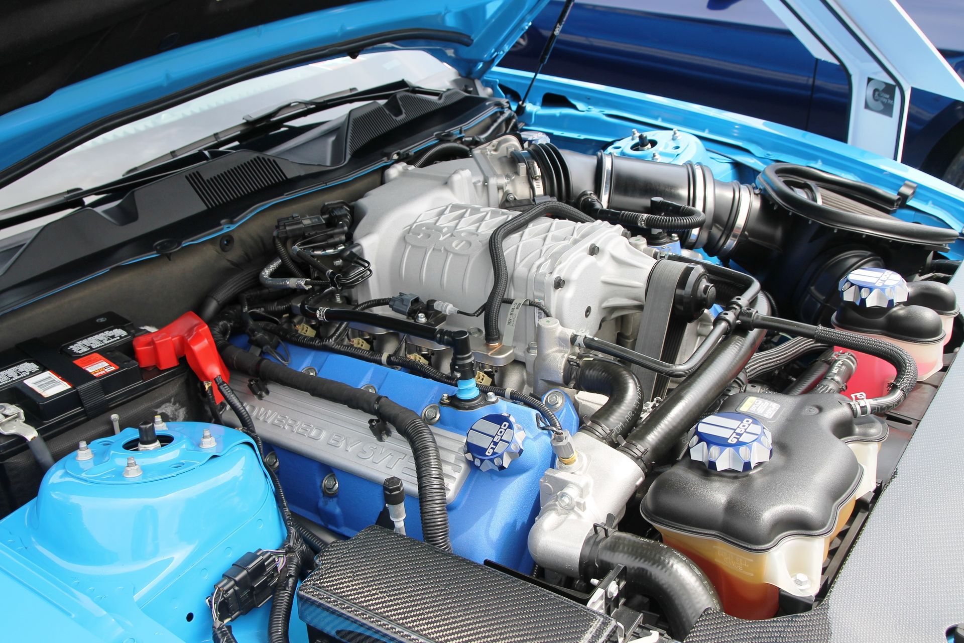 Full View