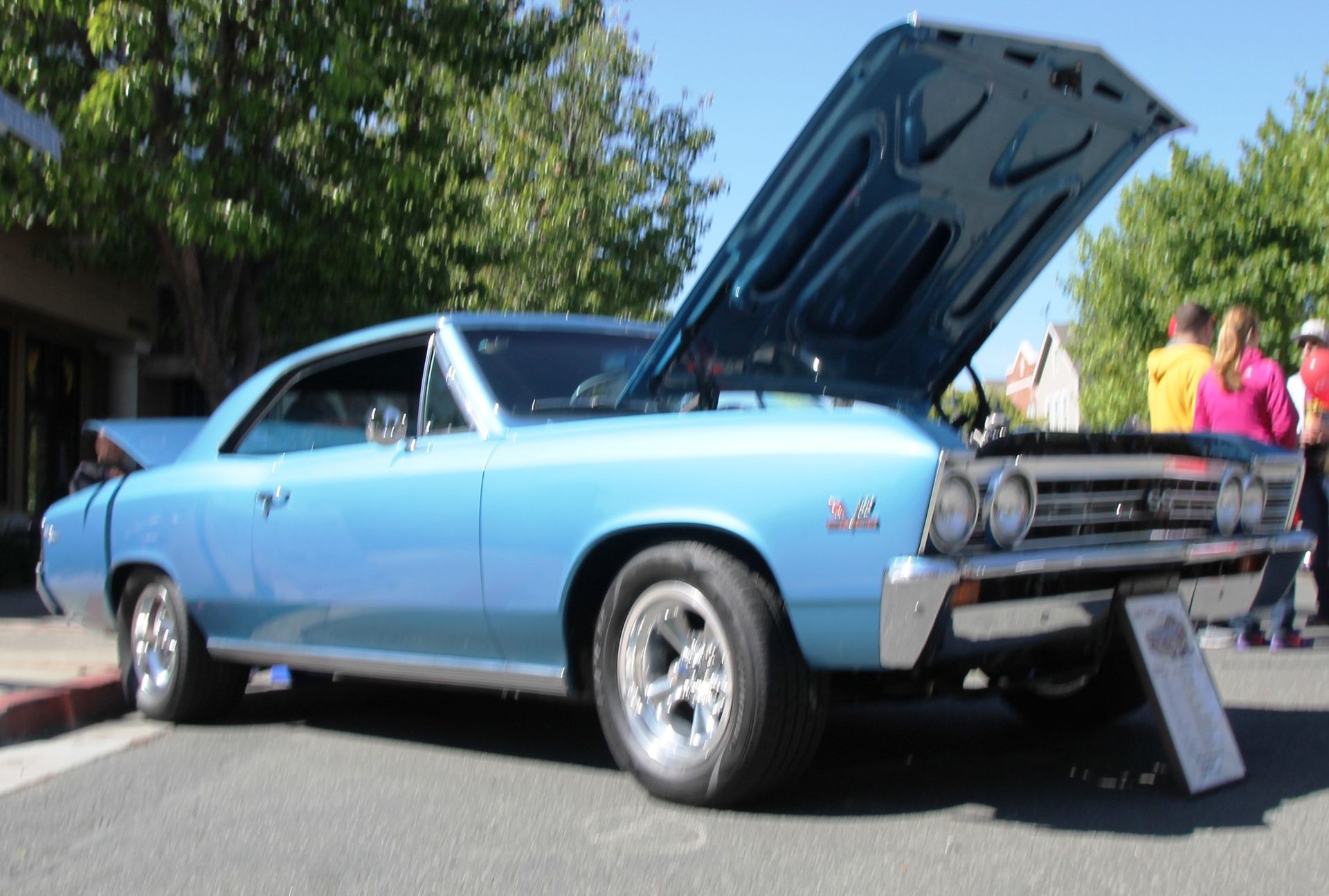 Full View