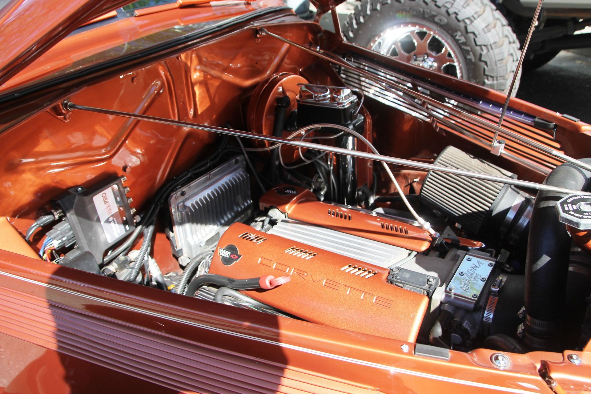 Full View