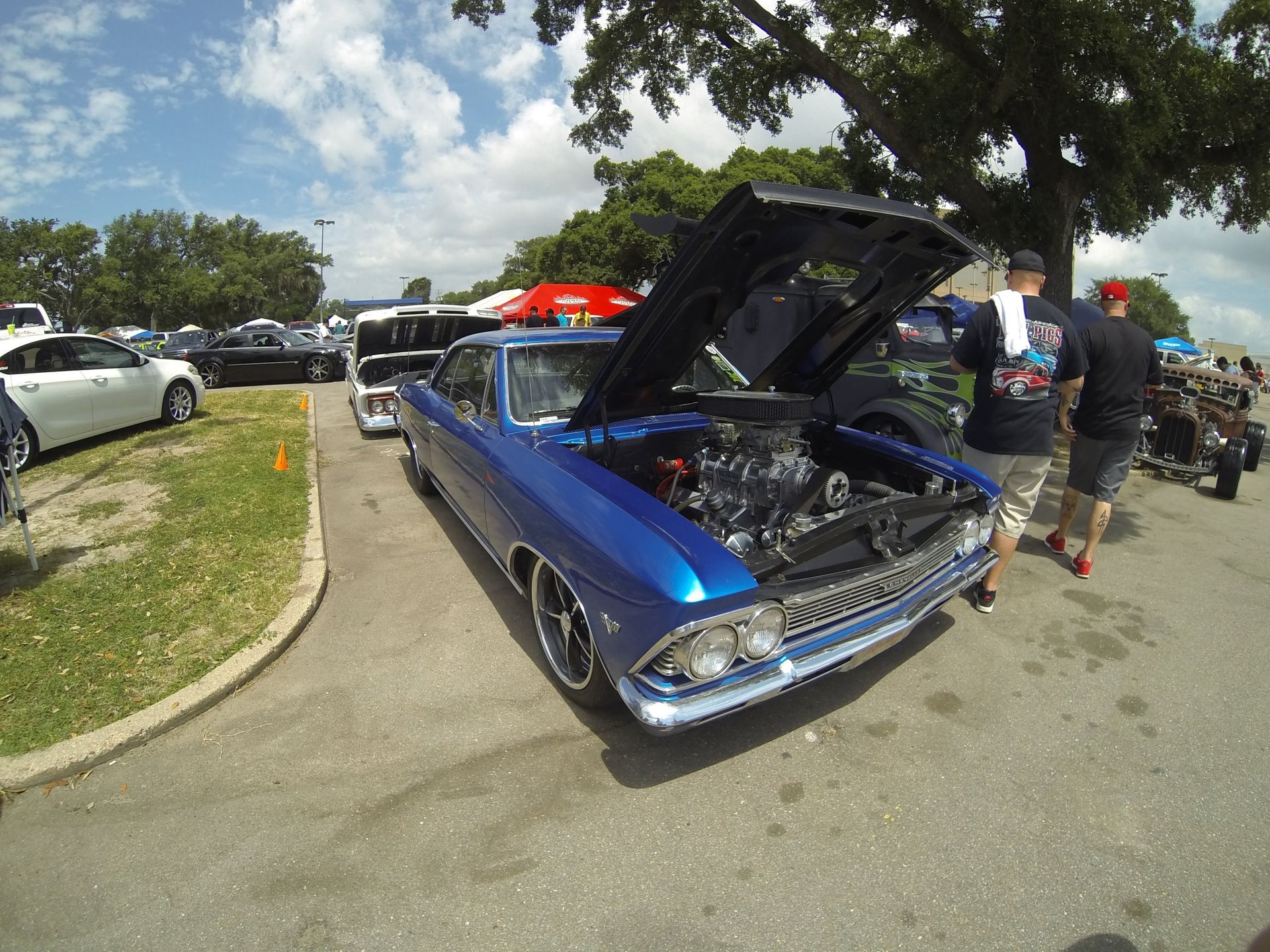 Full View