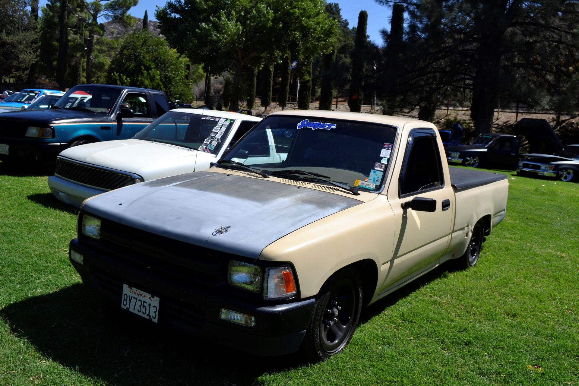 Full View
