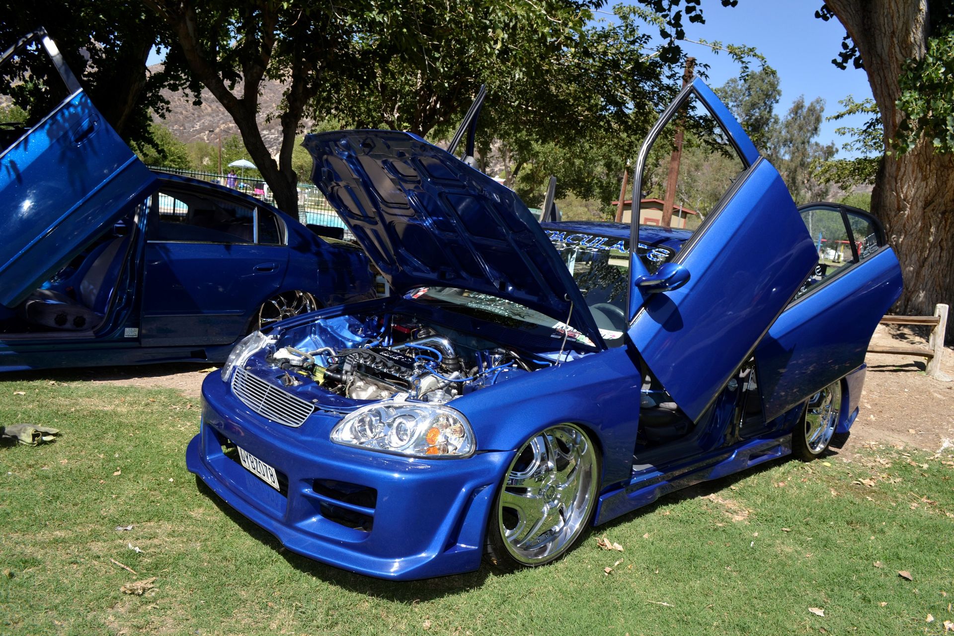 Full View