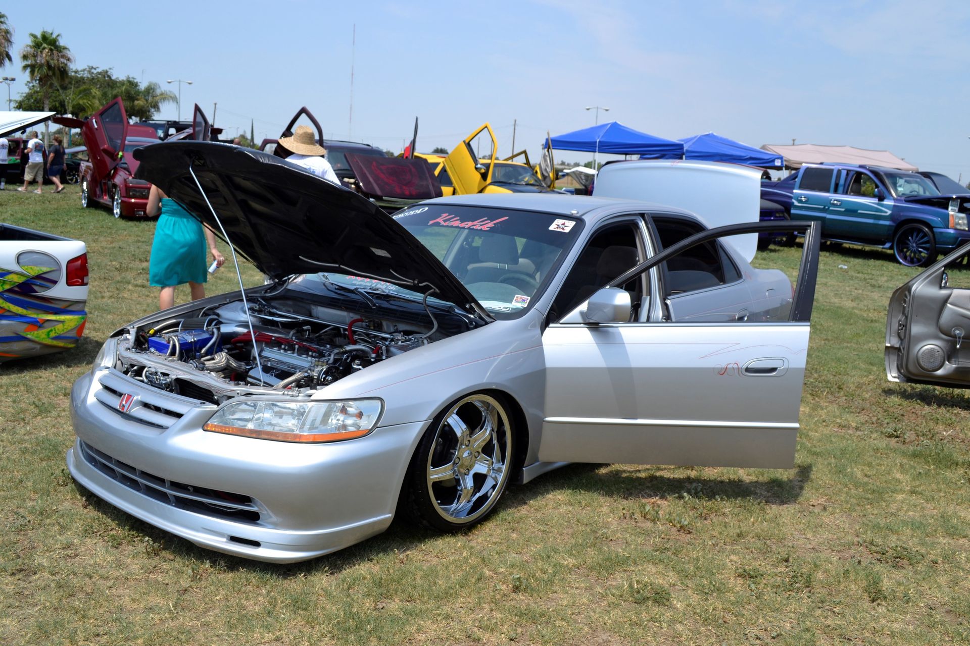Full View