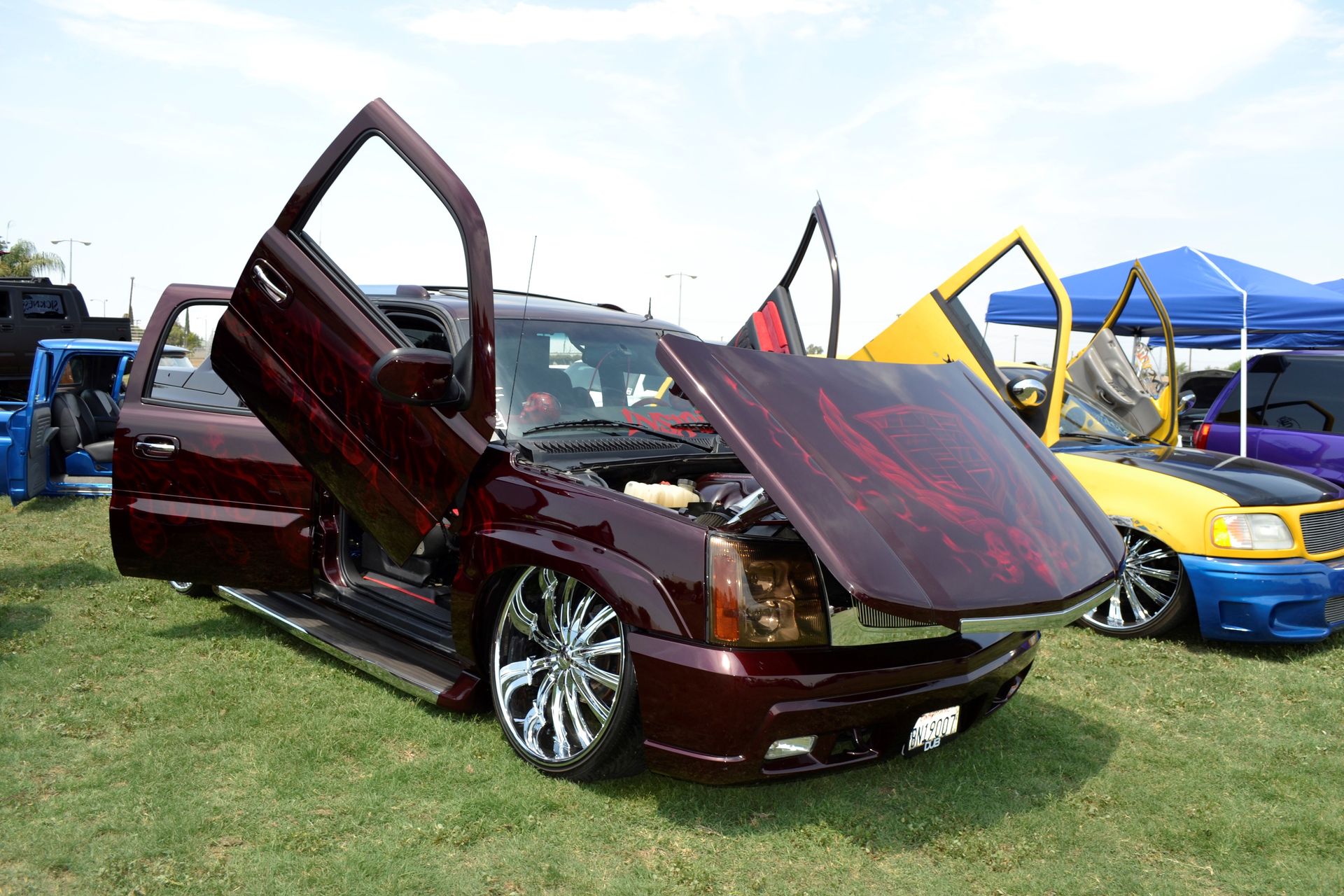 Full View