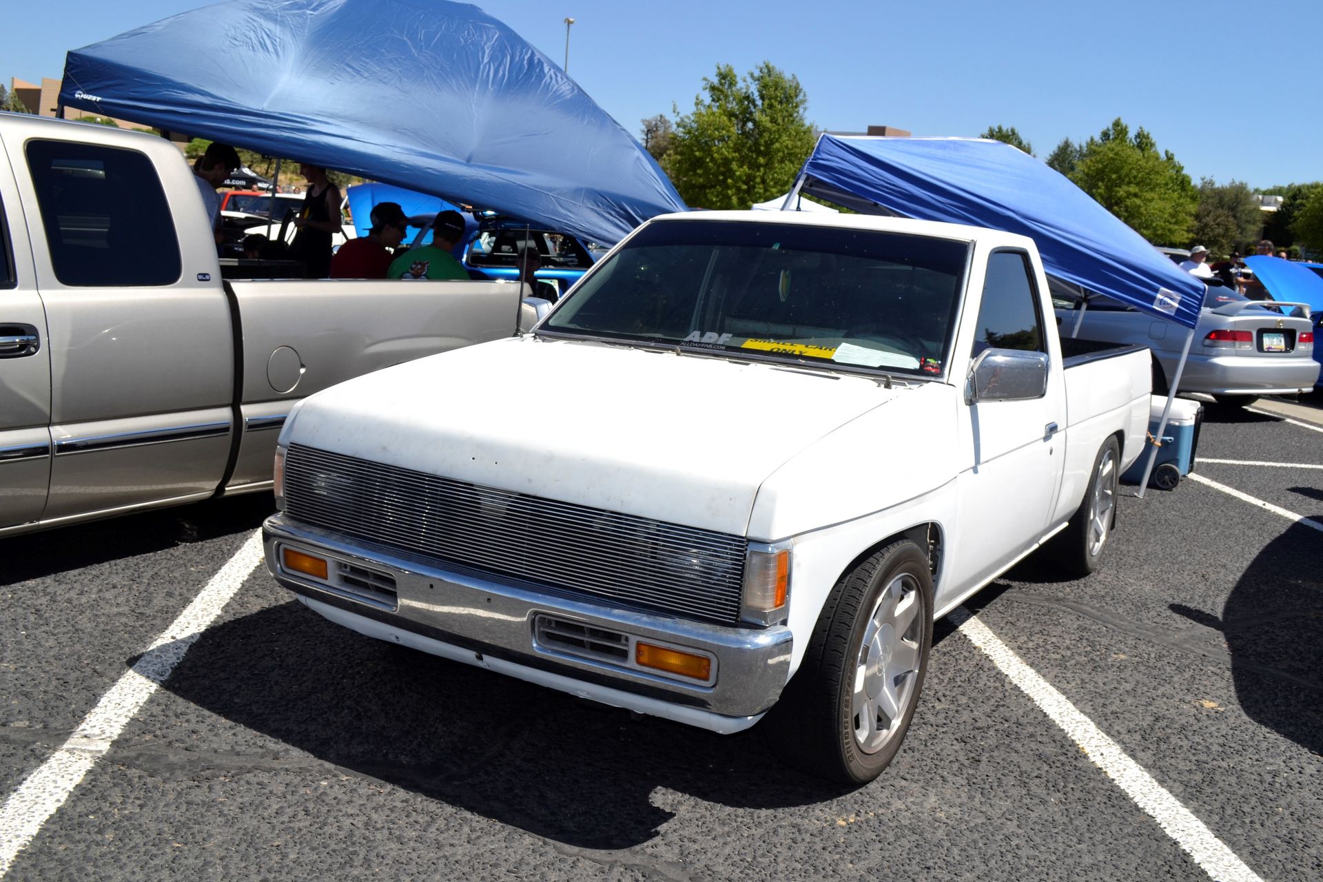 Full View