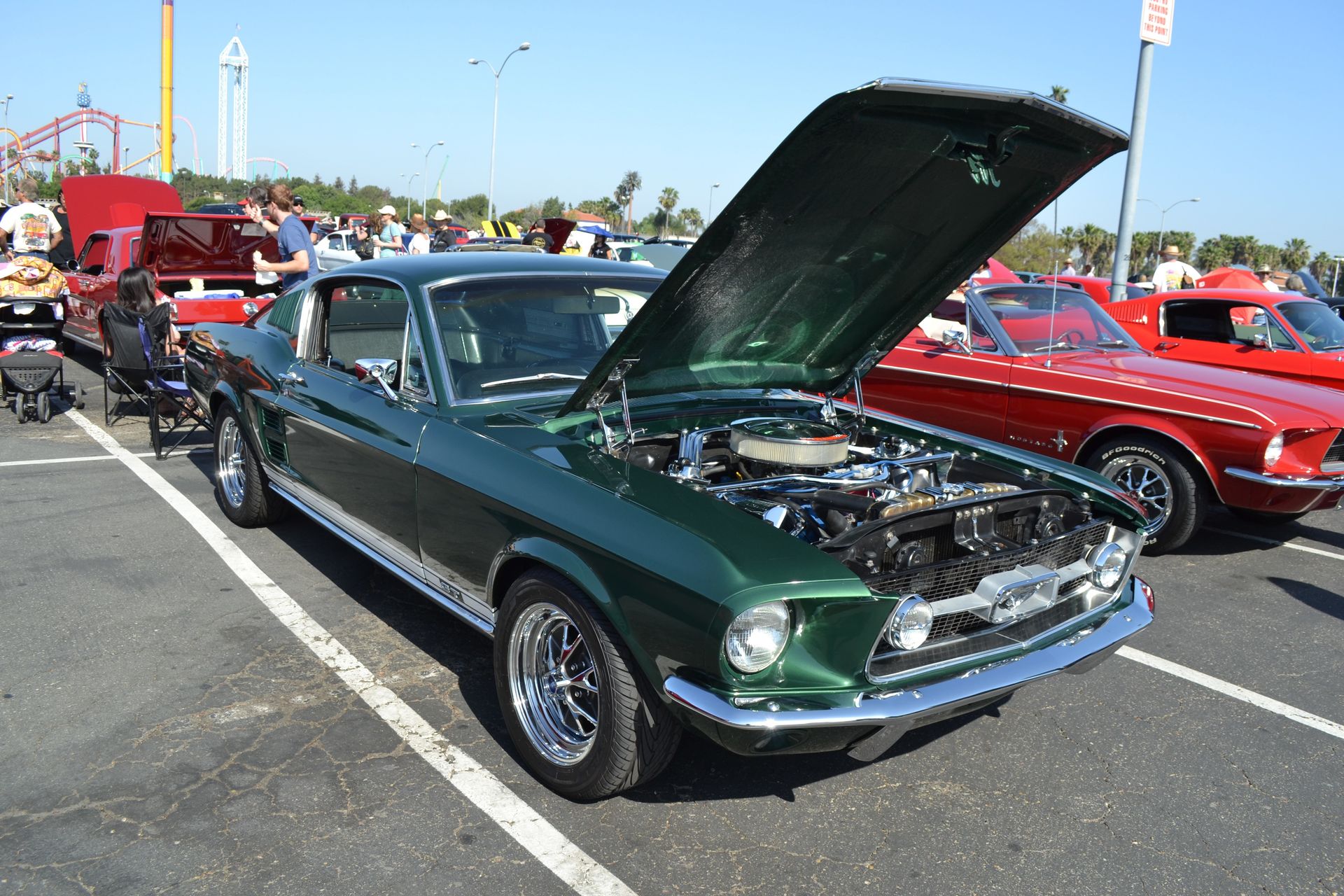 Full View