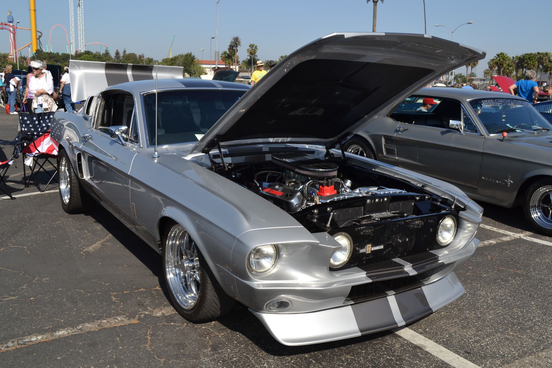 Full View