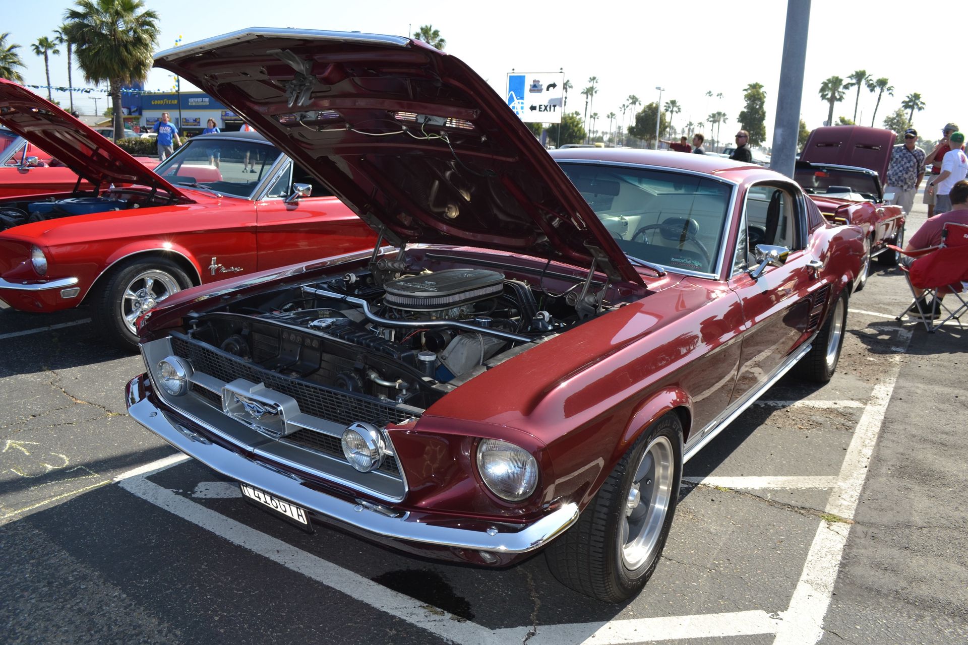 Full View