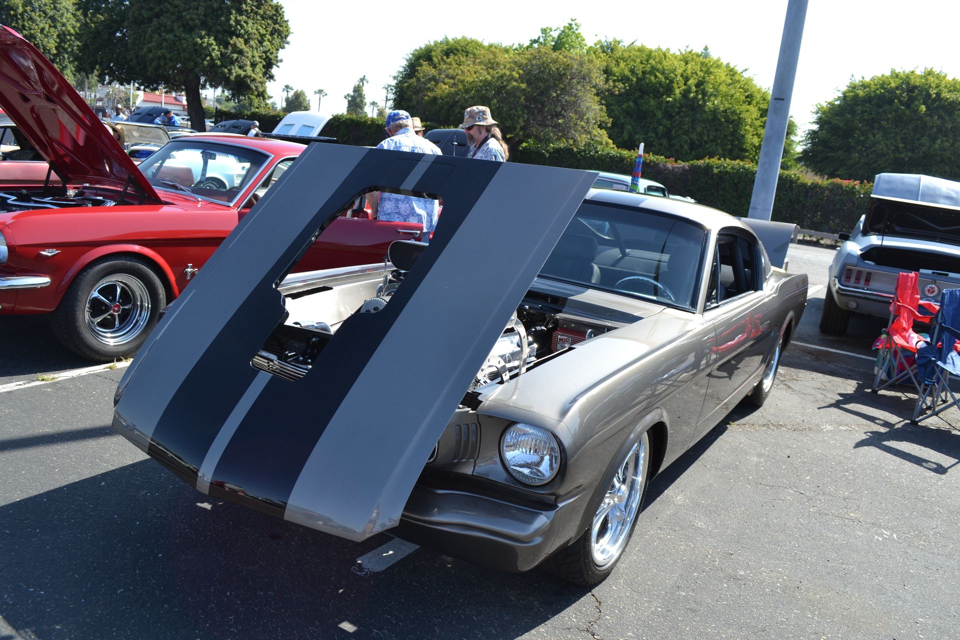 Full View