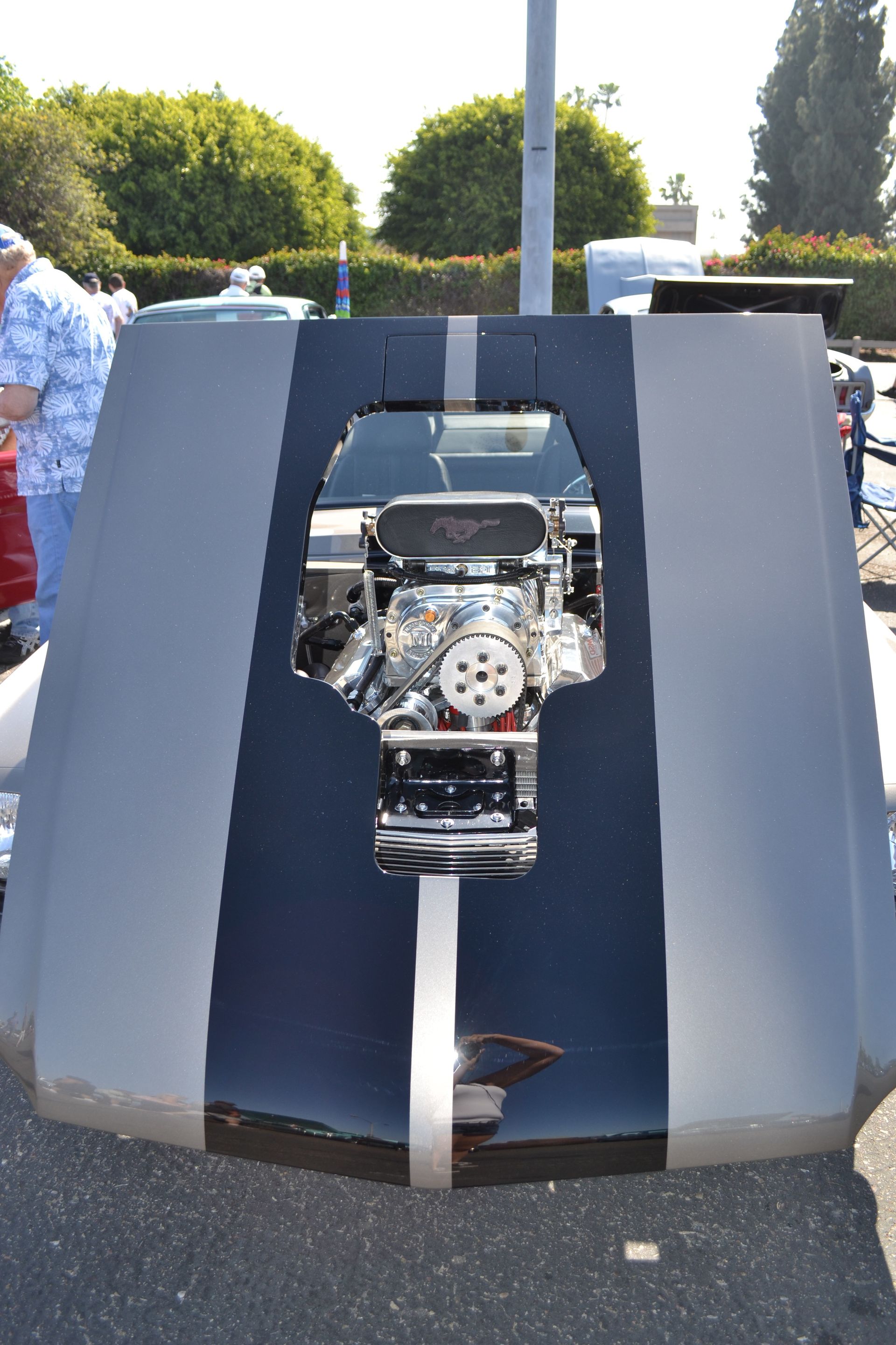 Full View