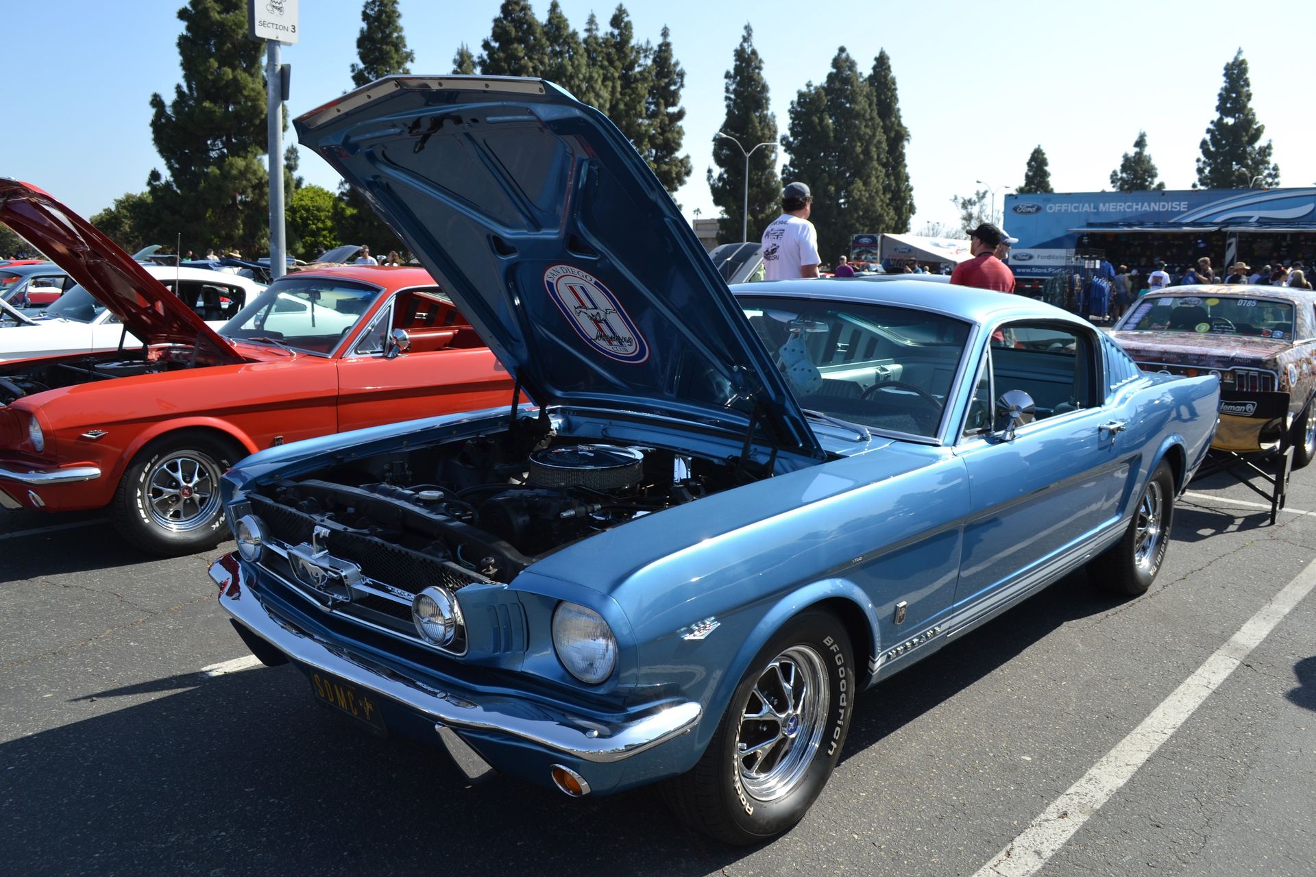 Full View