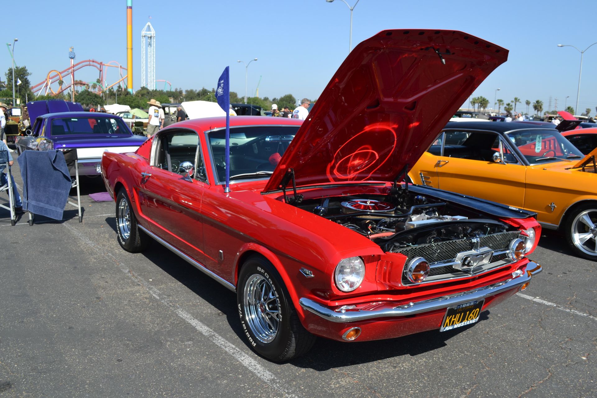 Full View