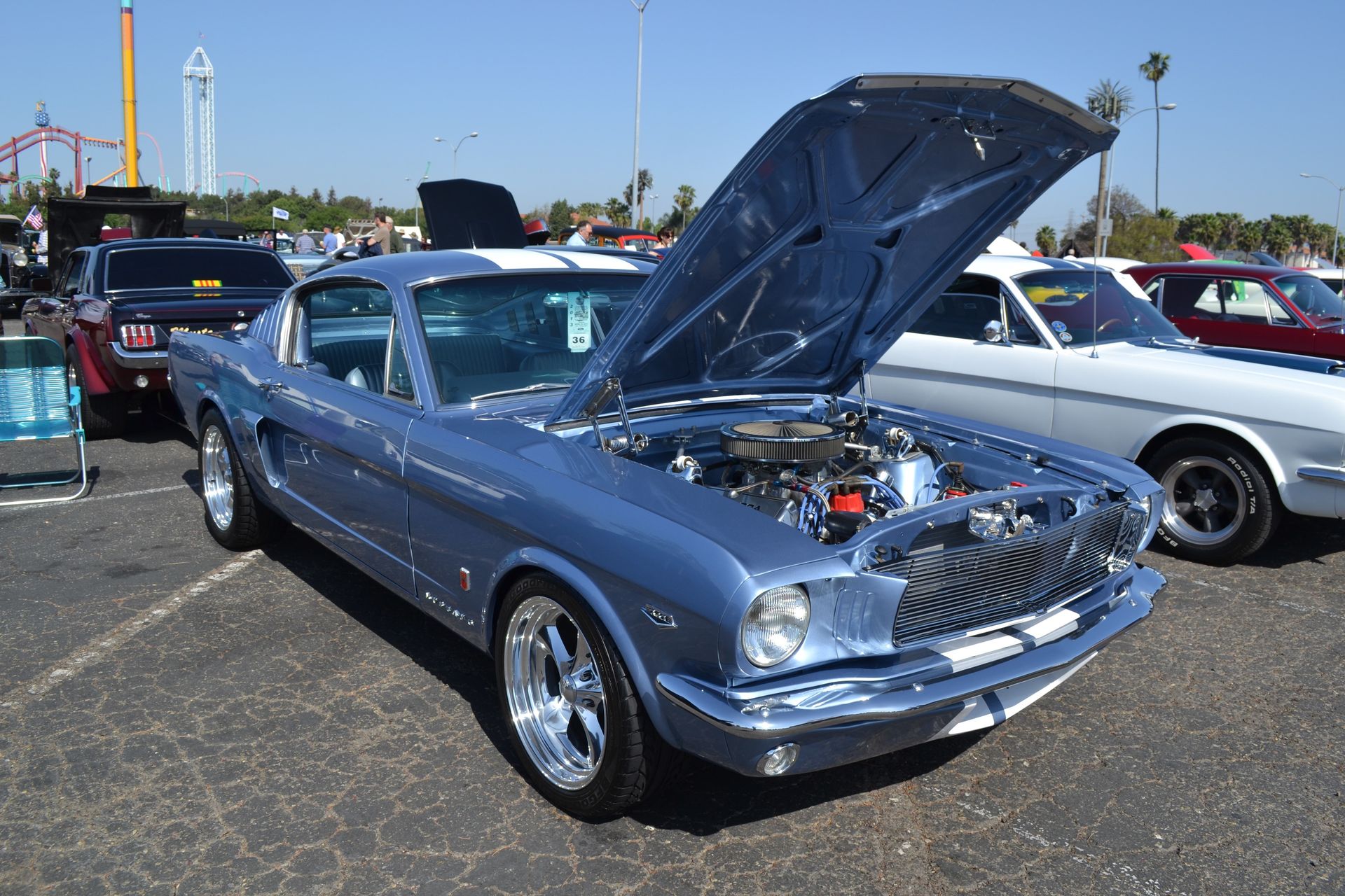 Full View