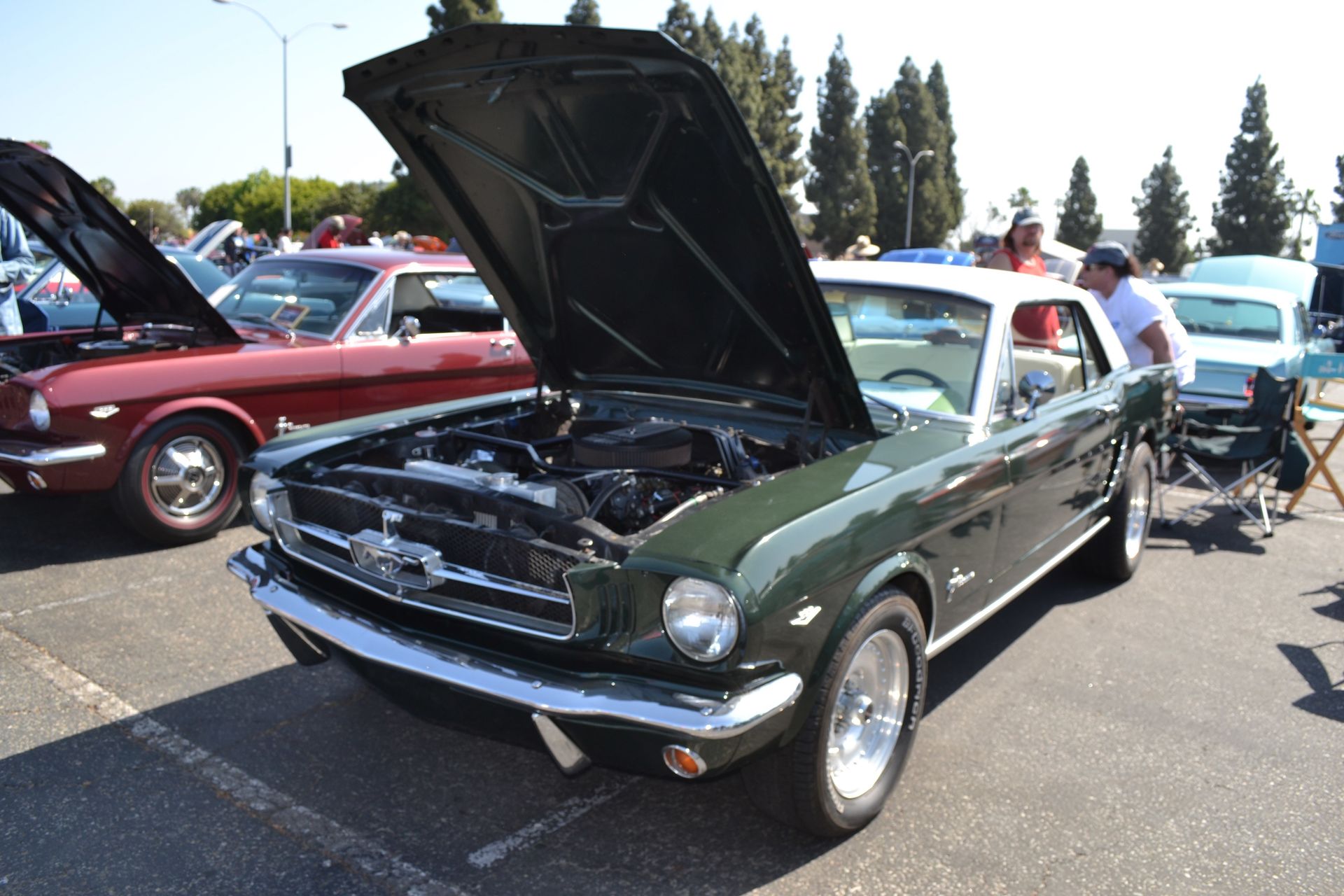 Full View