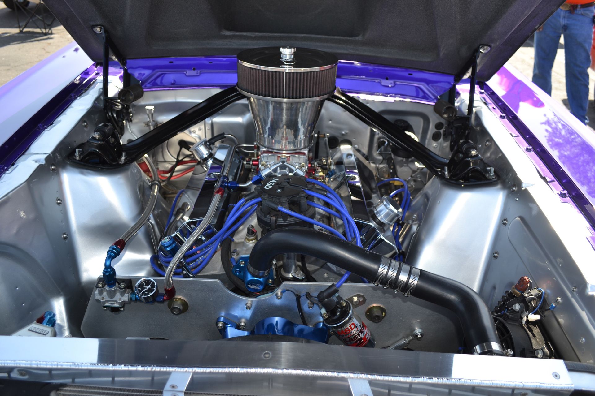 Full View