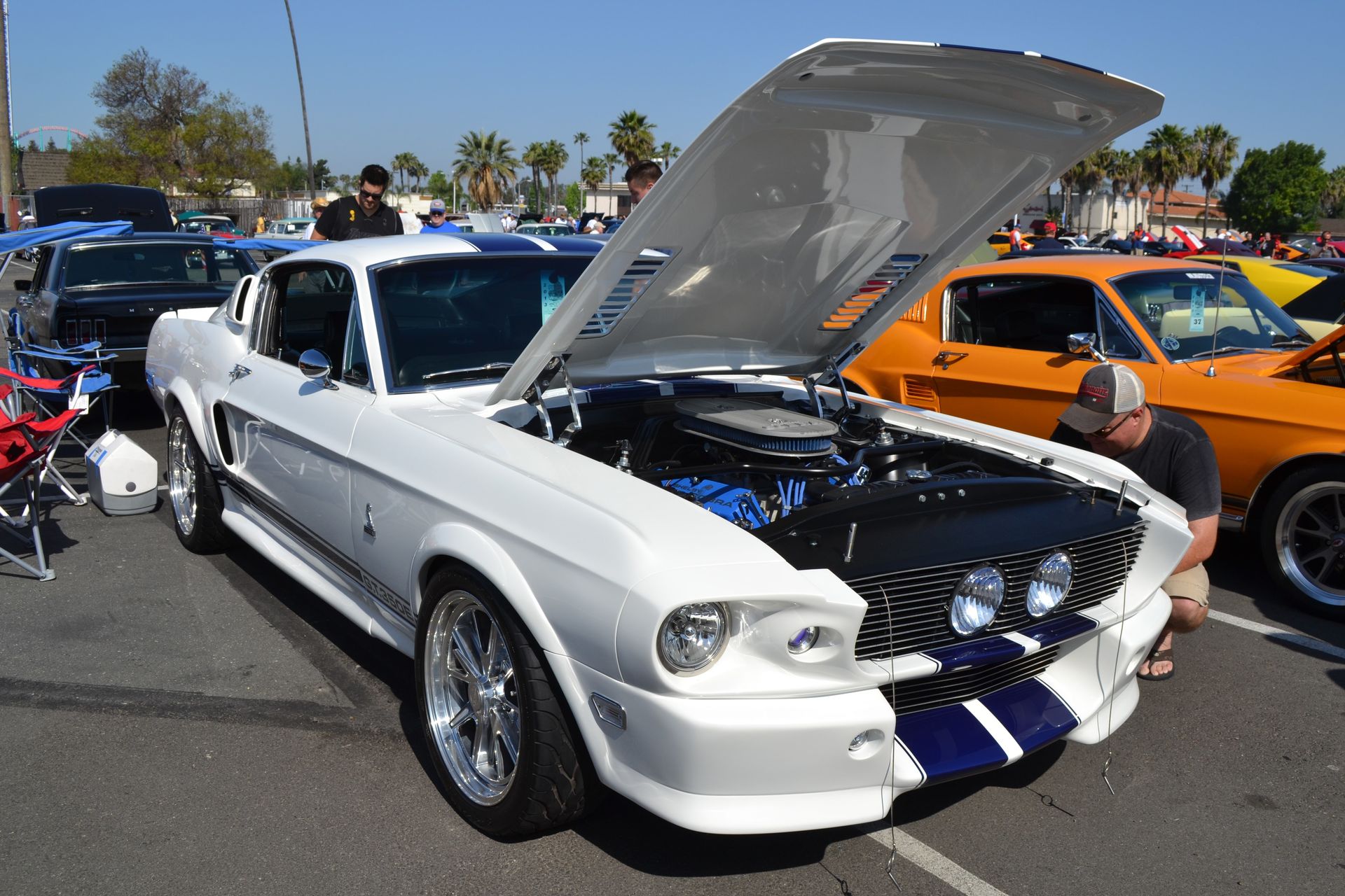 Full View