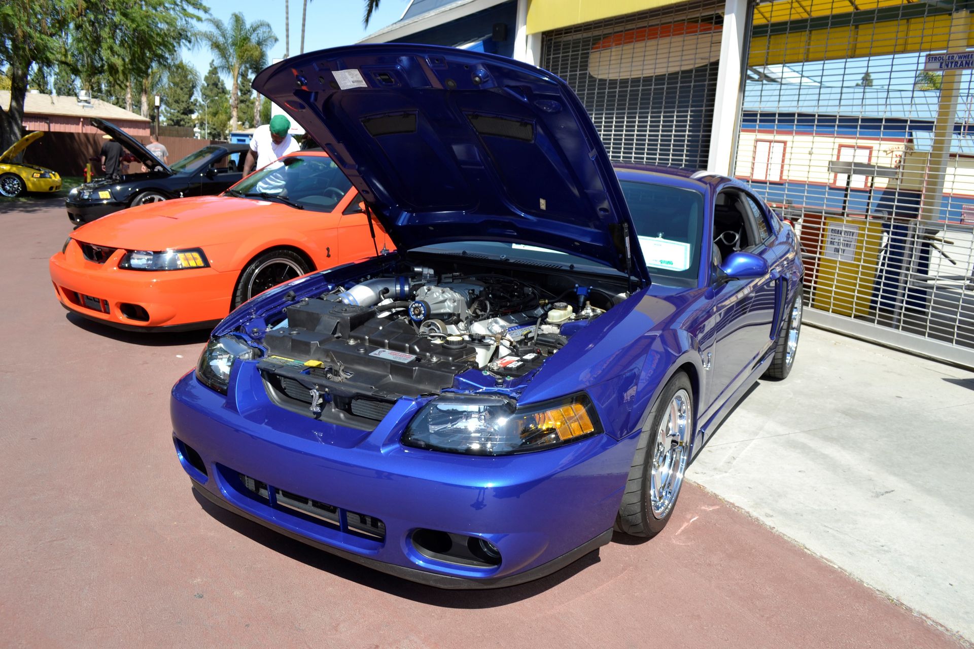 Full View
