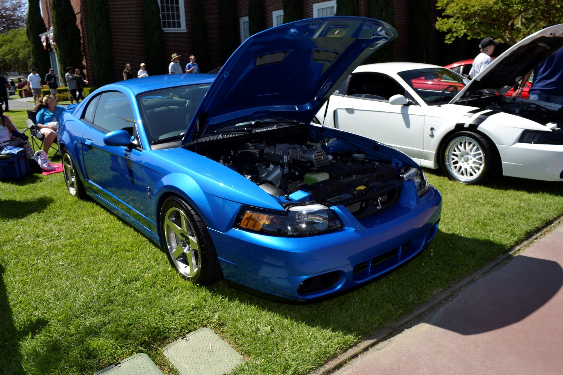 Full View