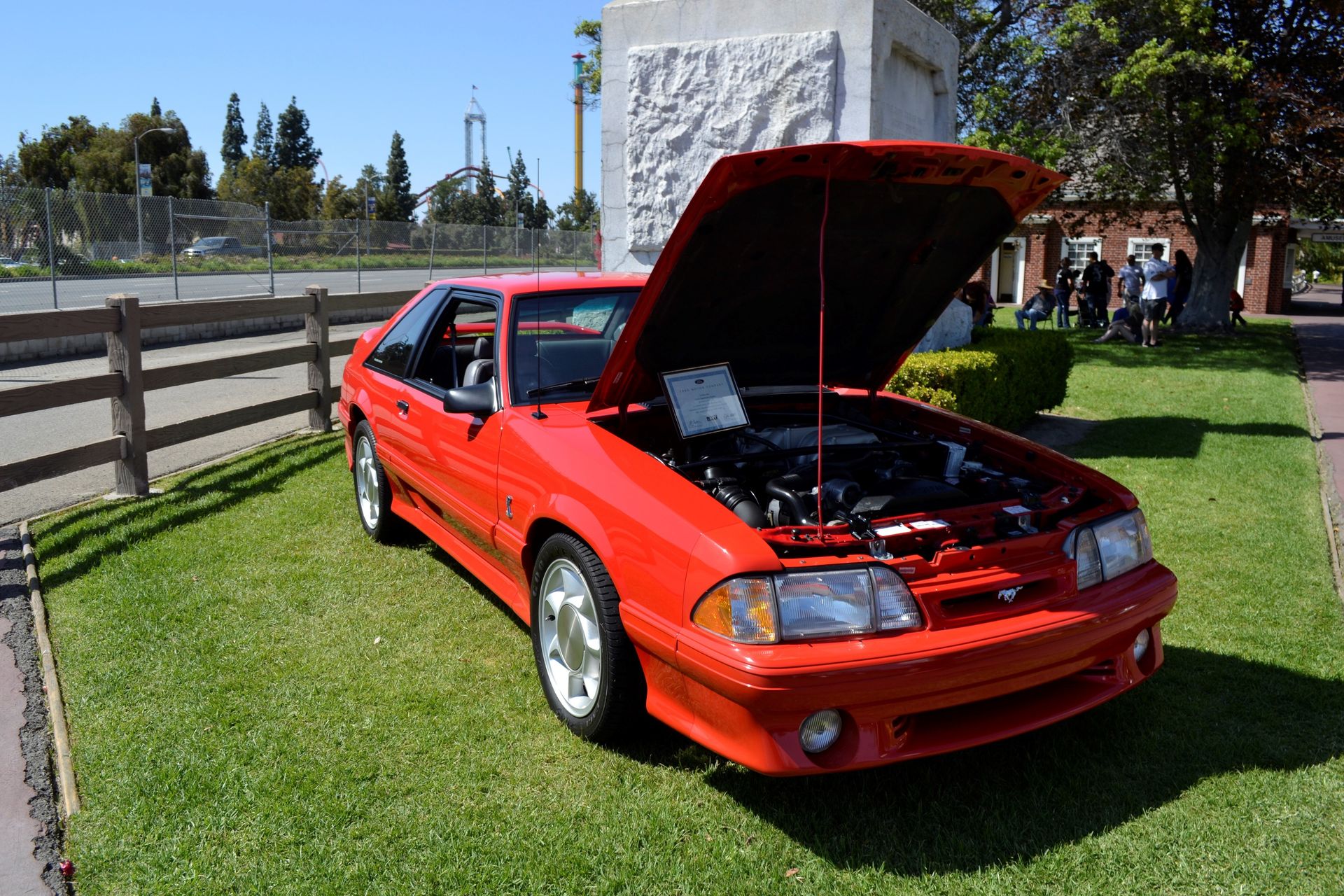 Full View