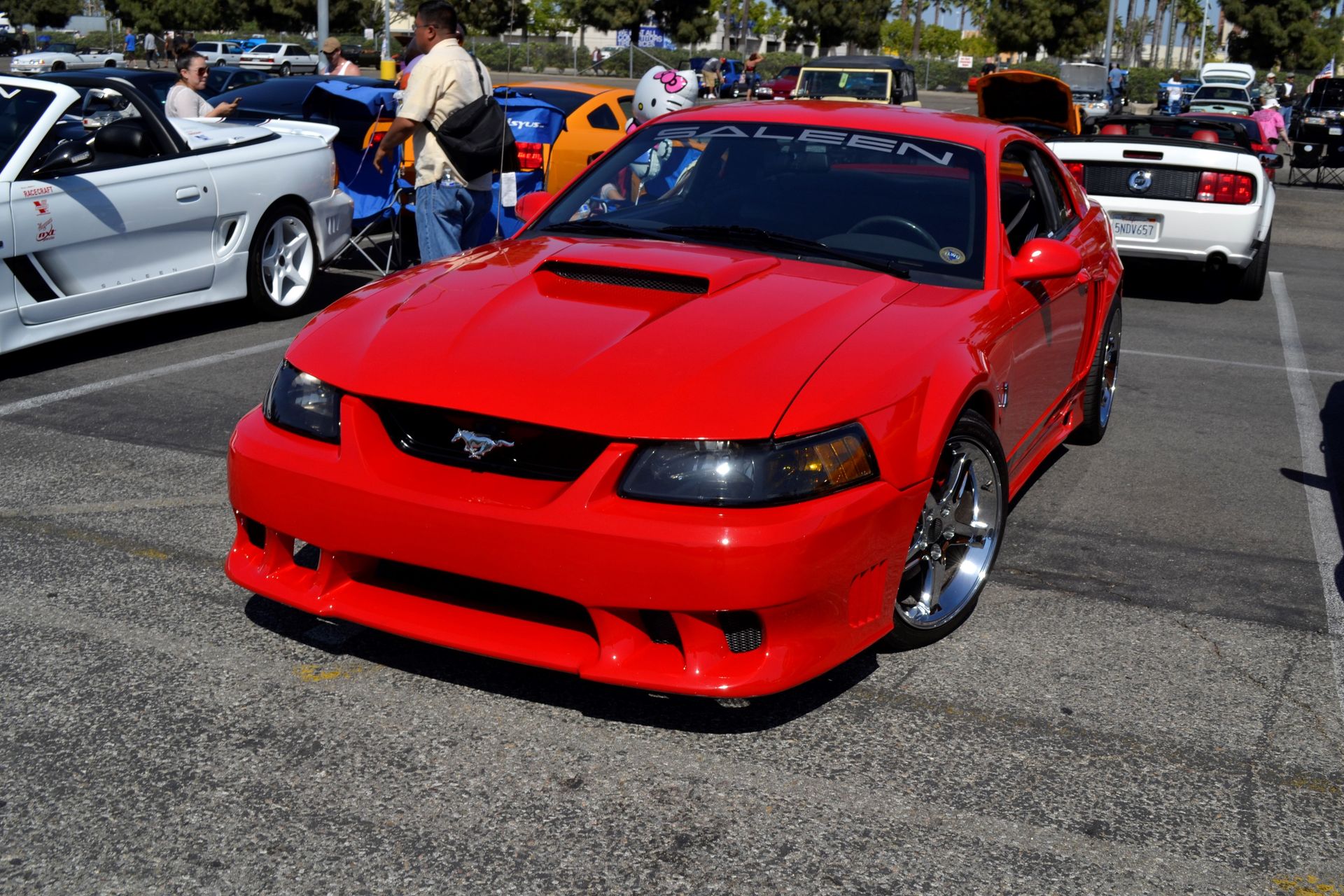 Full View