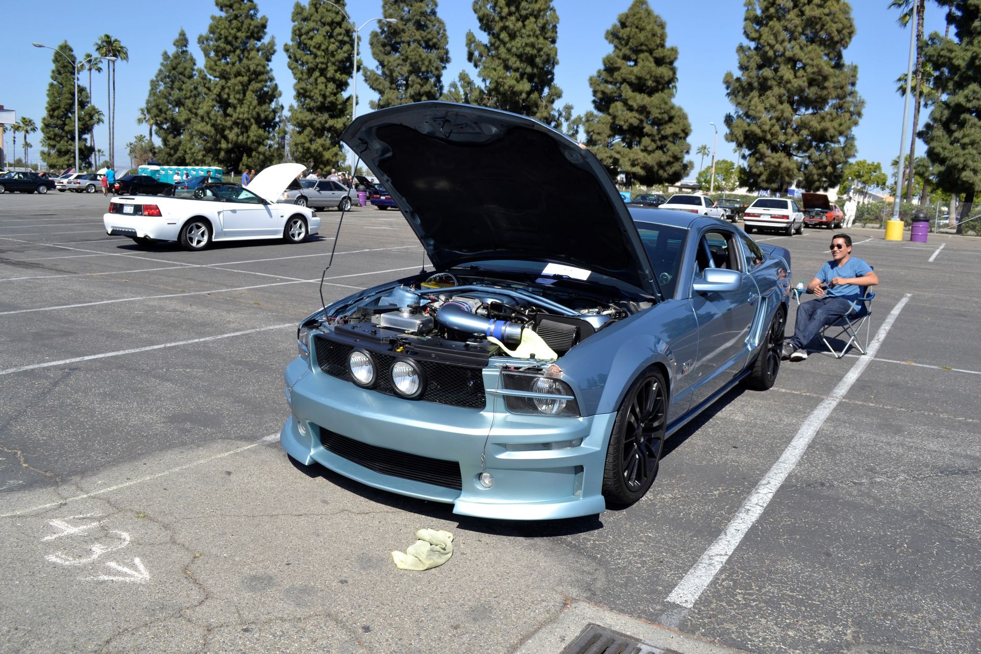 Full View