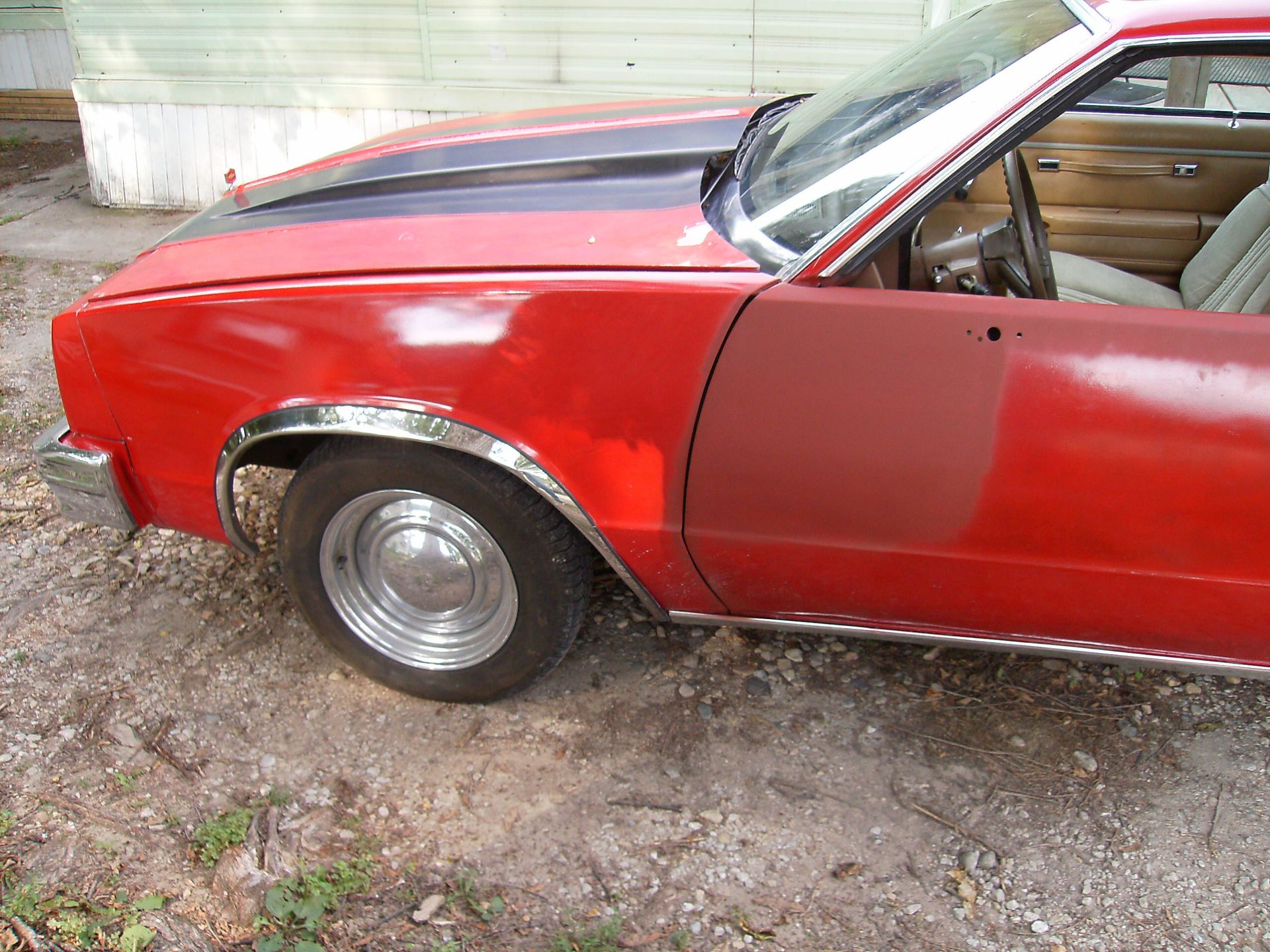 Full View