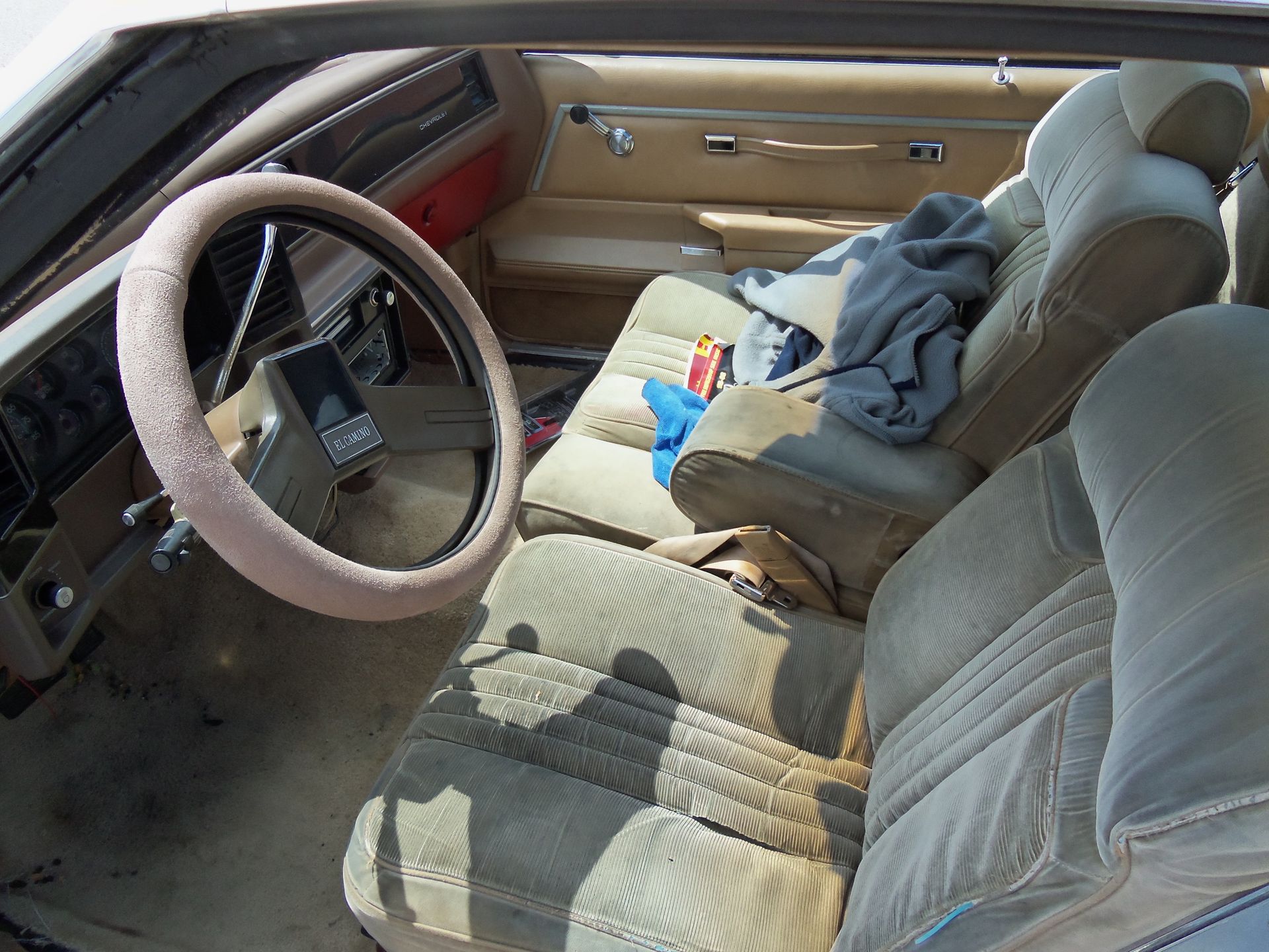 Full View