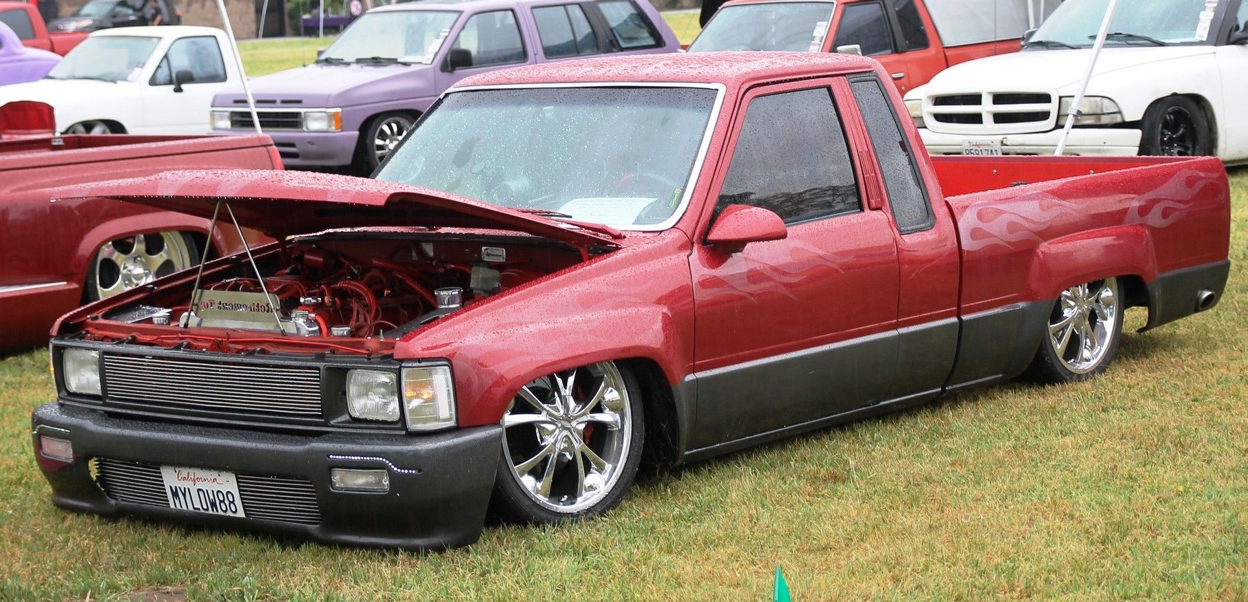 Full View