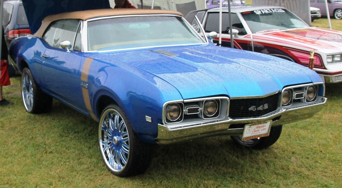 Full View