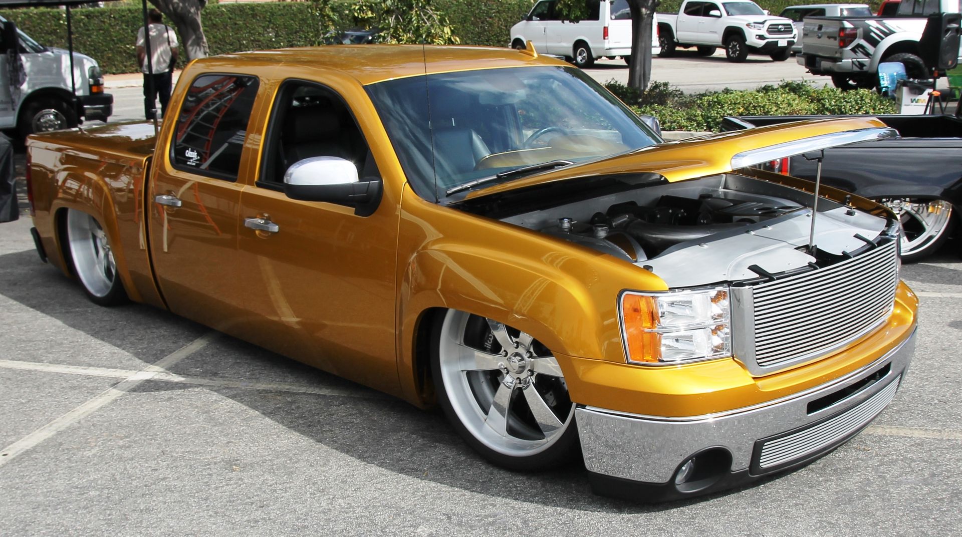 Full View